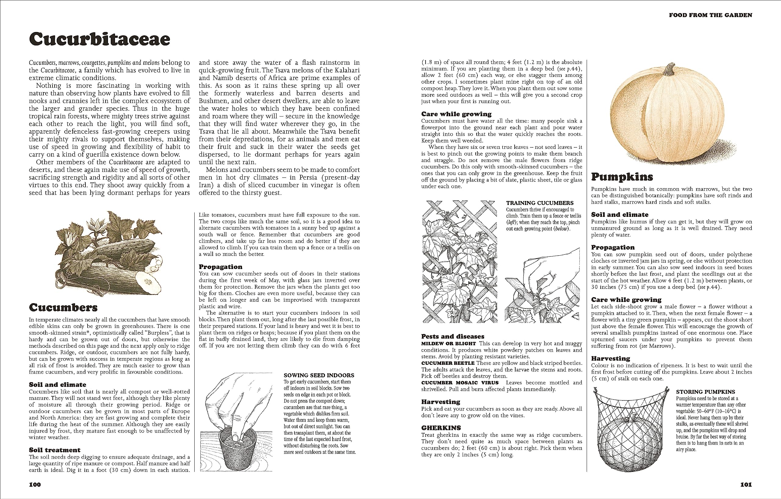 The Complete Book Of Self-Sufficiency - The Classic Guide For Realists And Dreamers - Ảnh 5