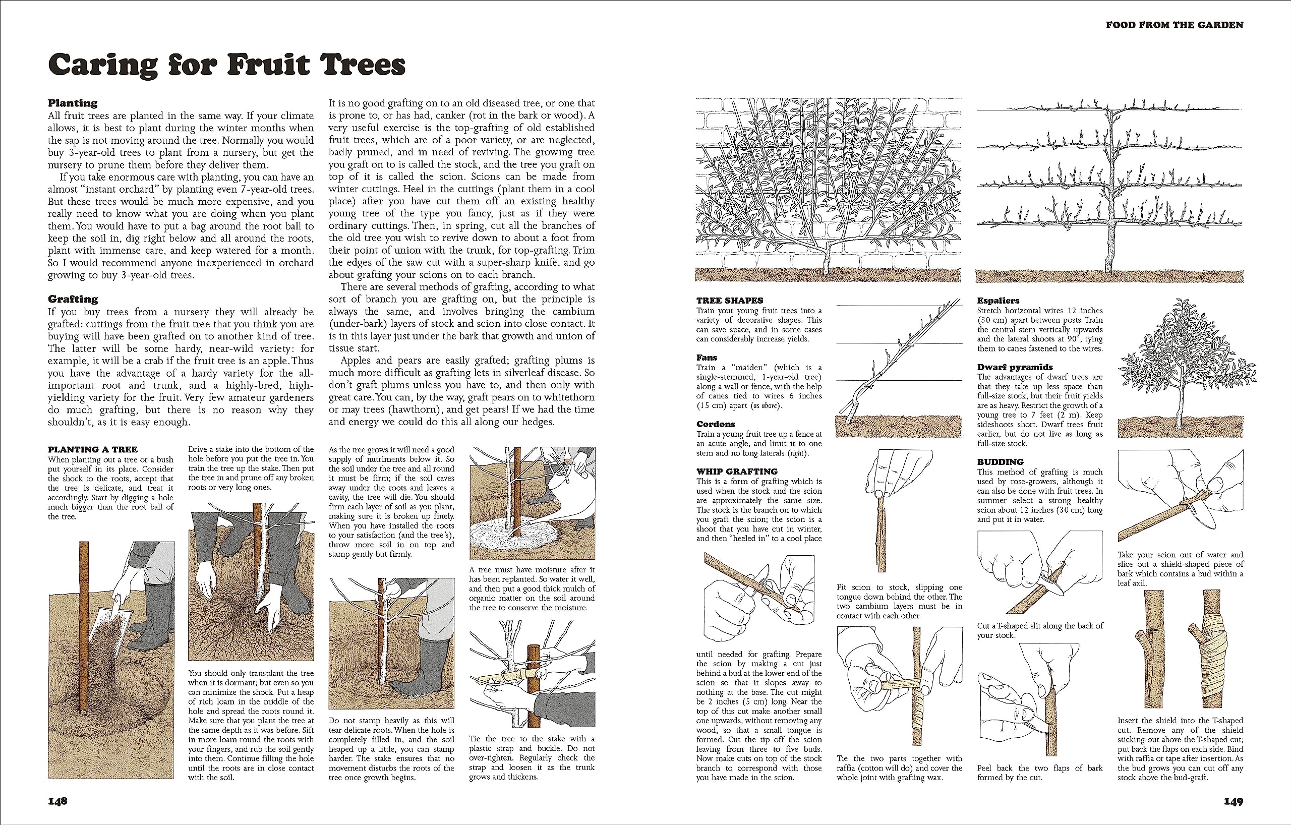 The Complete Book Of Self-Sufficiency - The Classic Guide For Realists And Dreamers - Ảnh 6