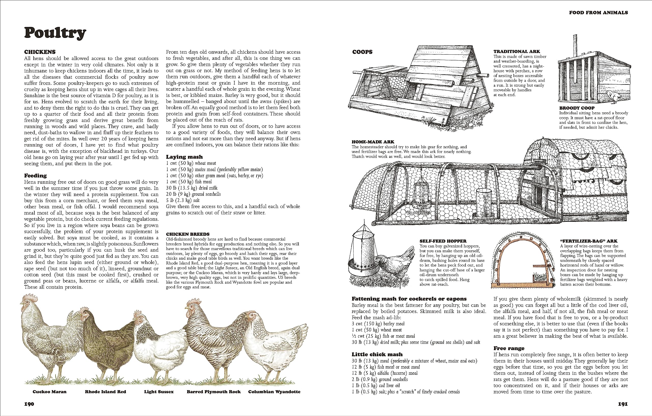 The Complete Book Of Self-Sufficiency - The Classic Guide For Realists And Dreamers - Ảnh 7