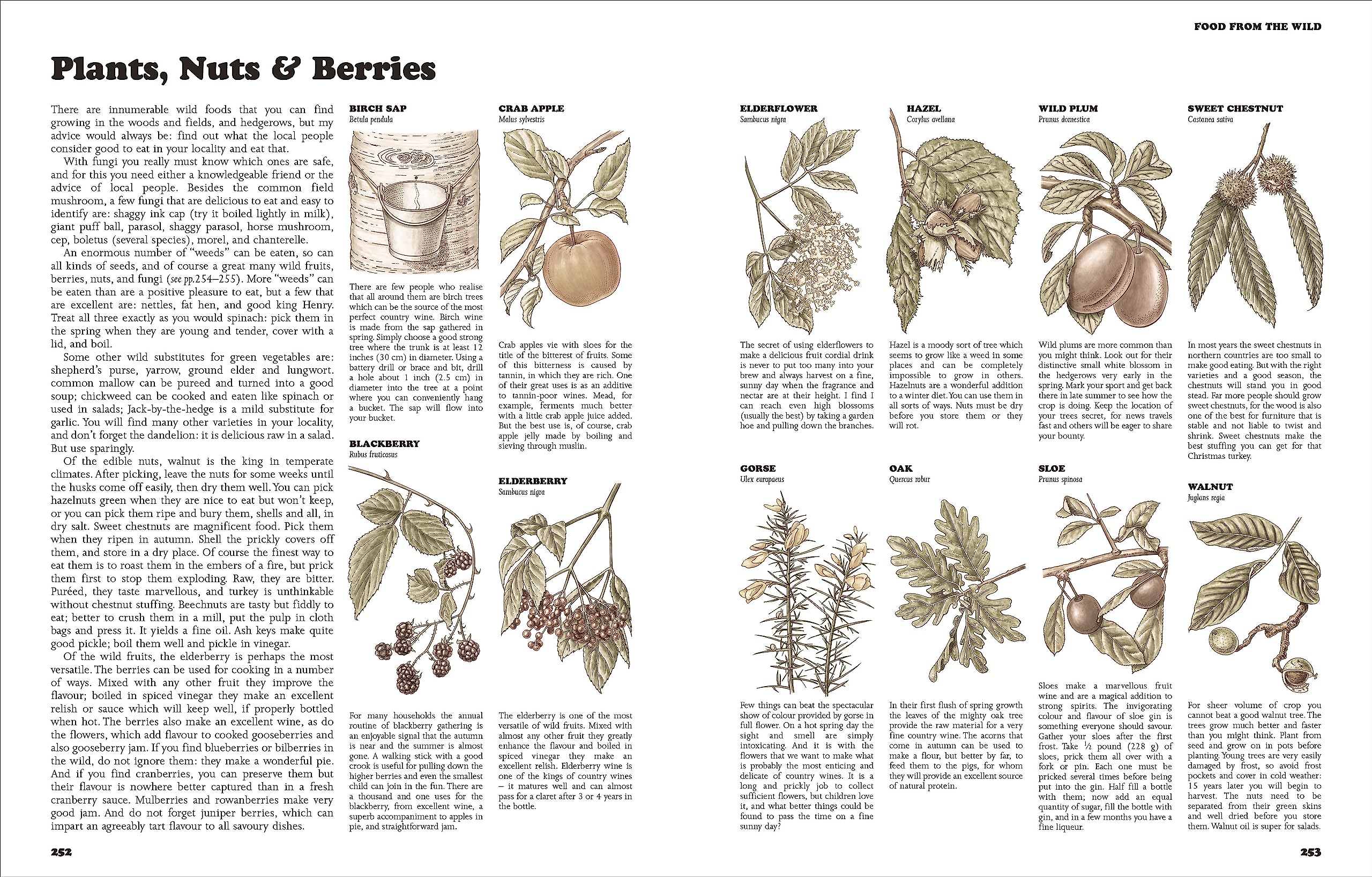 The Complete Book Of Self-Sufficiency - The Classic Guide For Realists And Dreamers - Ảnh 8