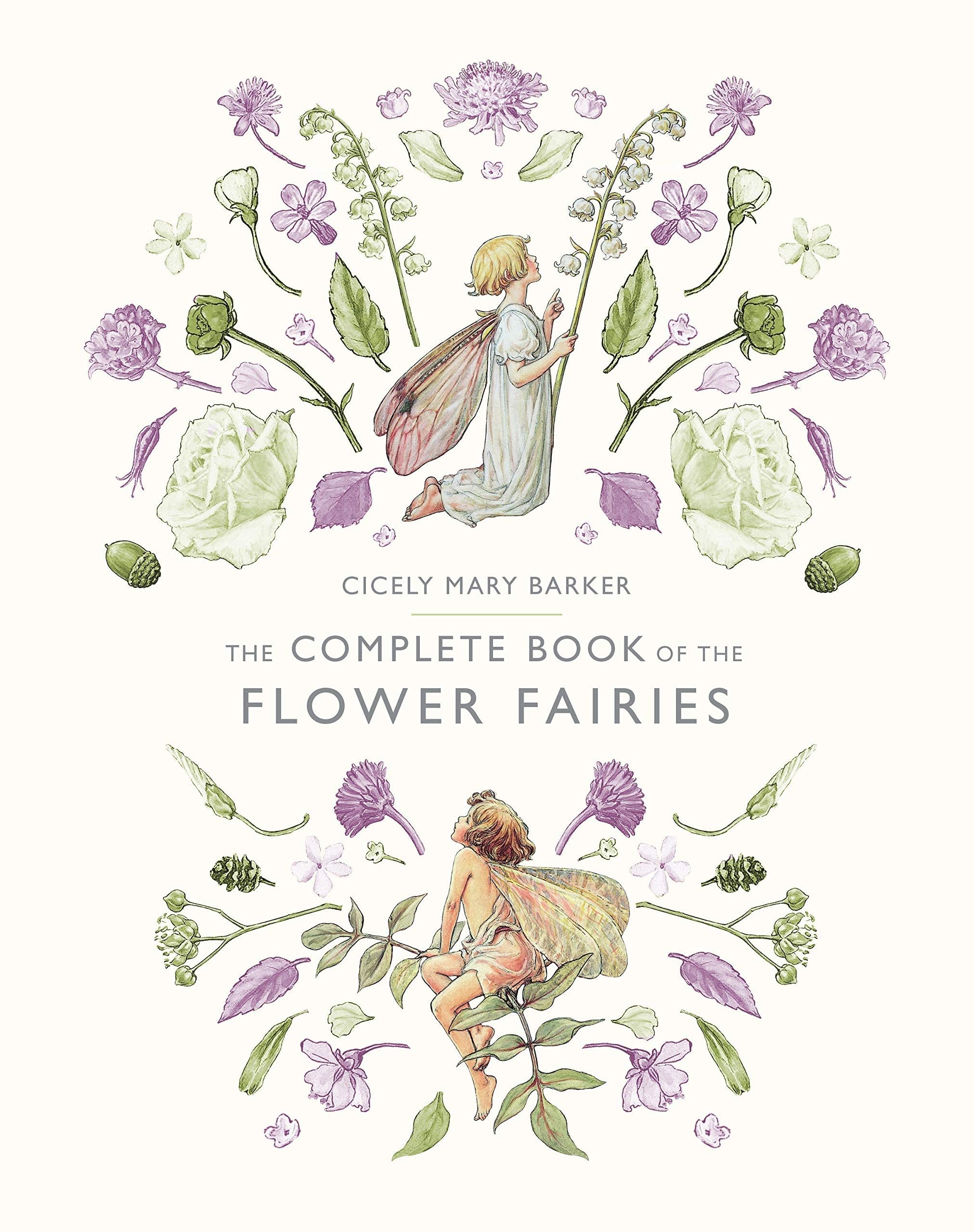 the complete book of the flower fairies - Ảnh 2