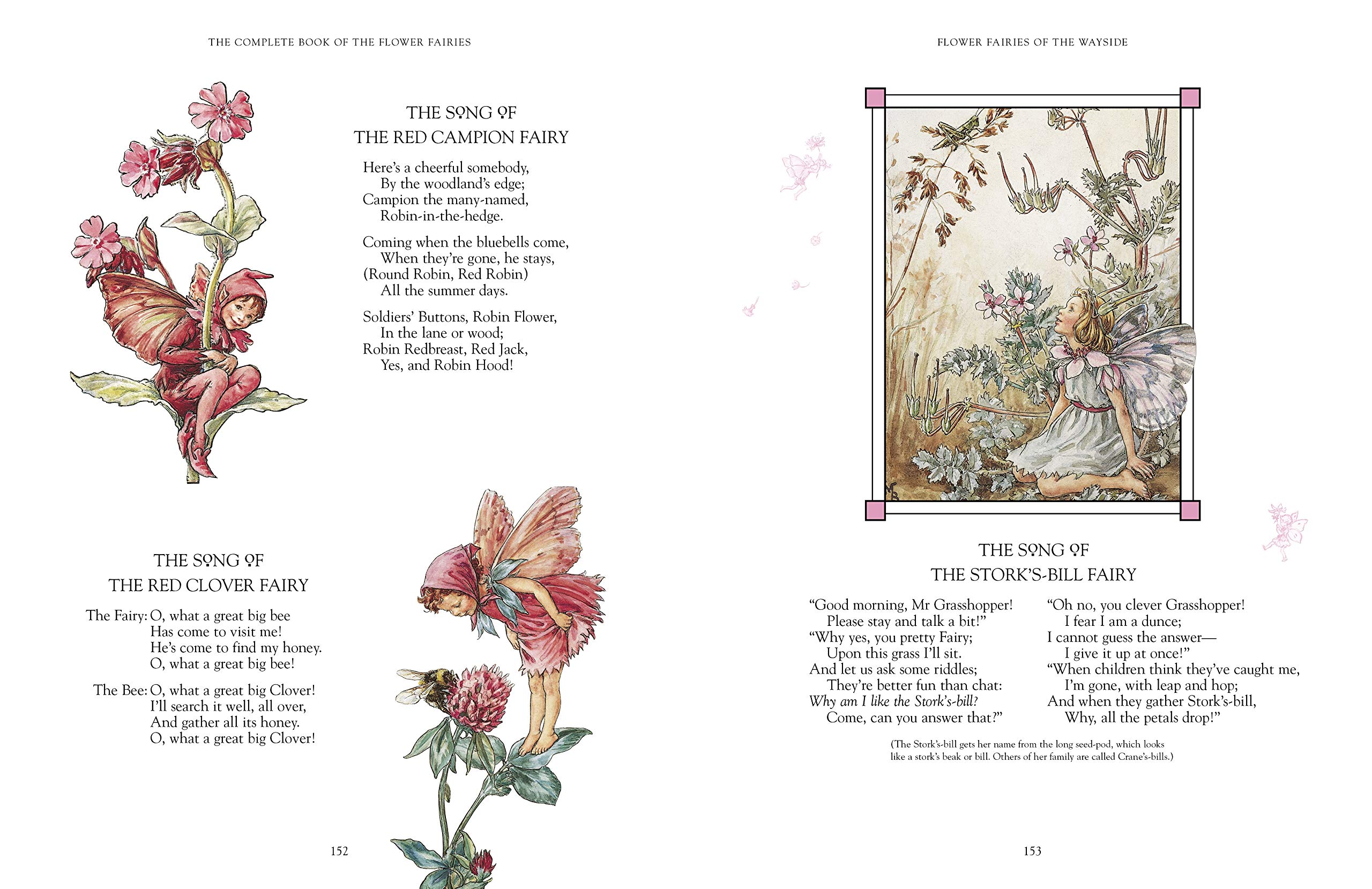 the complete book of the flower fairies - Ảnh 4