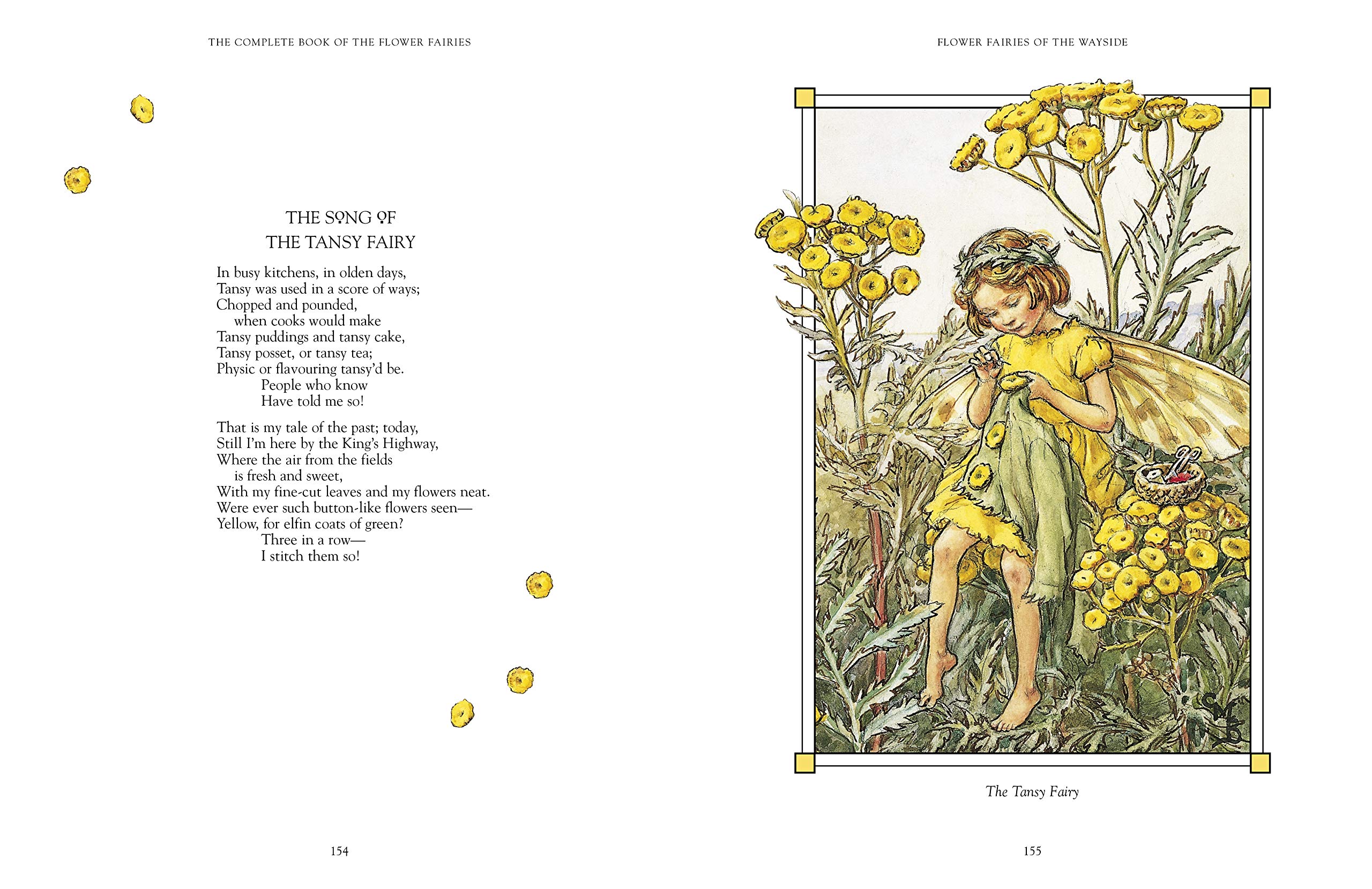 the complete book of the flower fairies - Ảnh 5