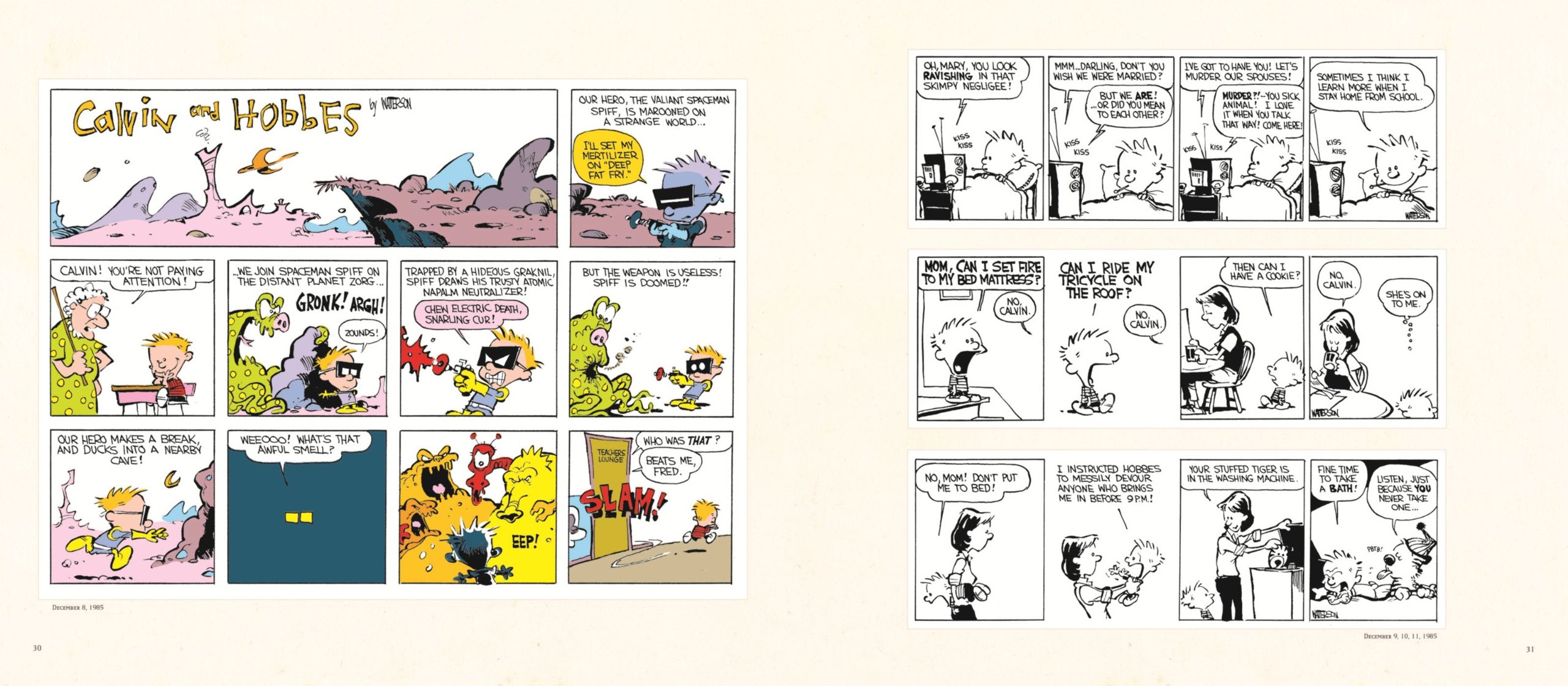 the complete calvin and hobbes - Ảnh 4