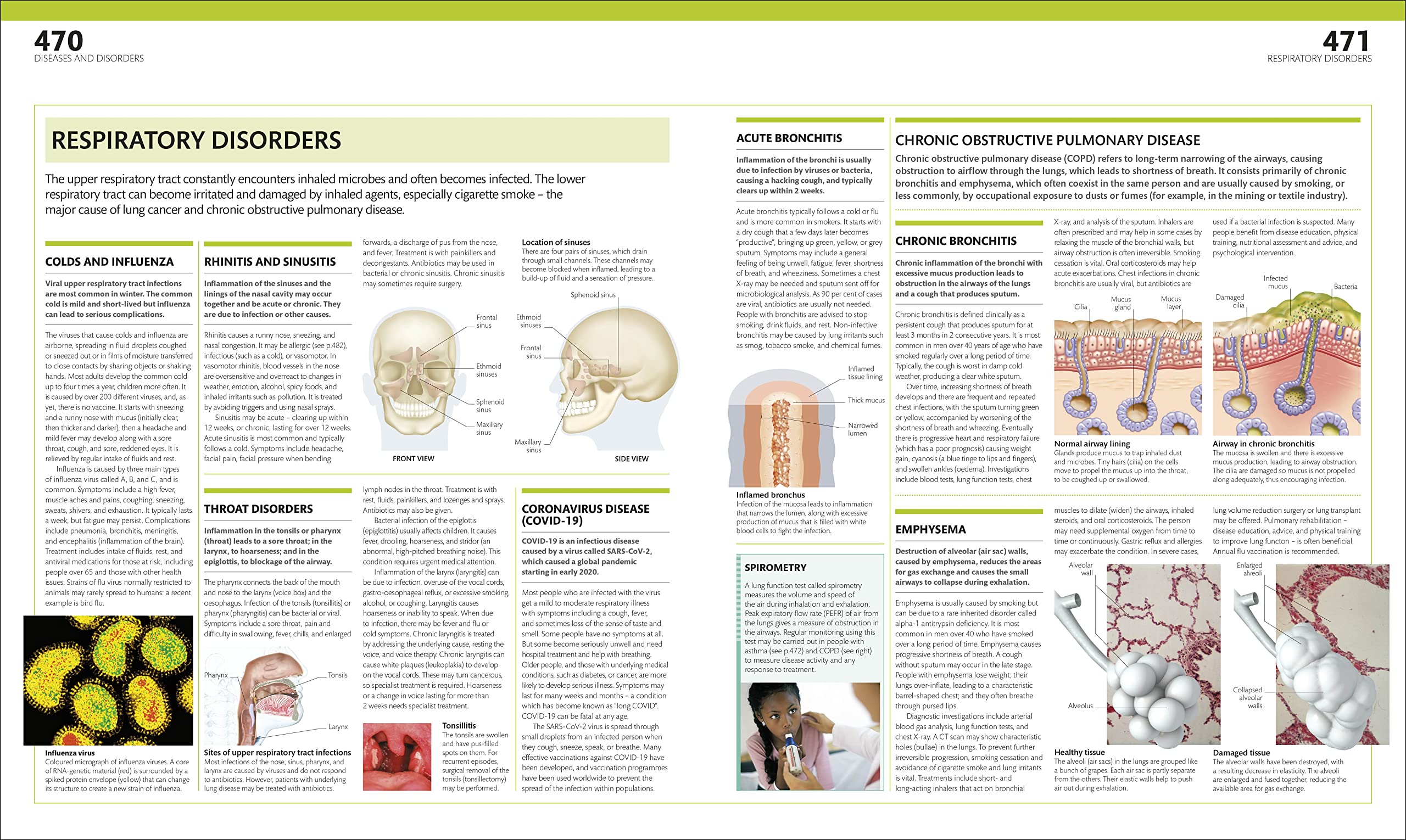 the complete human body -the definitive visual guide - Ảnh 11