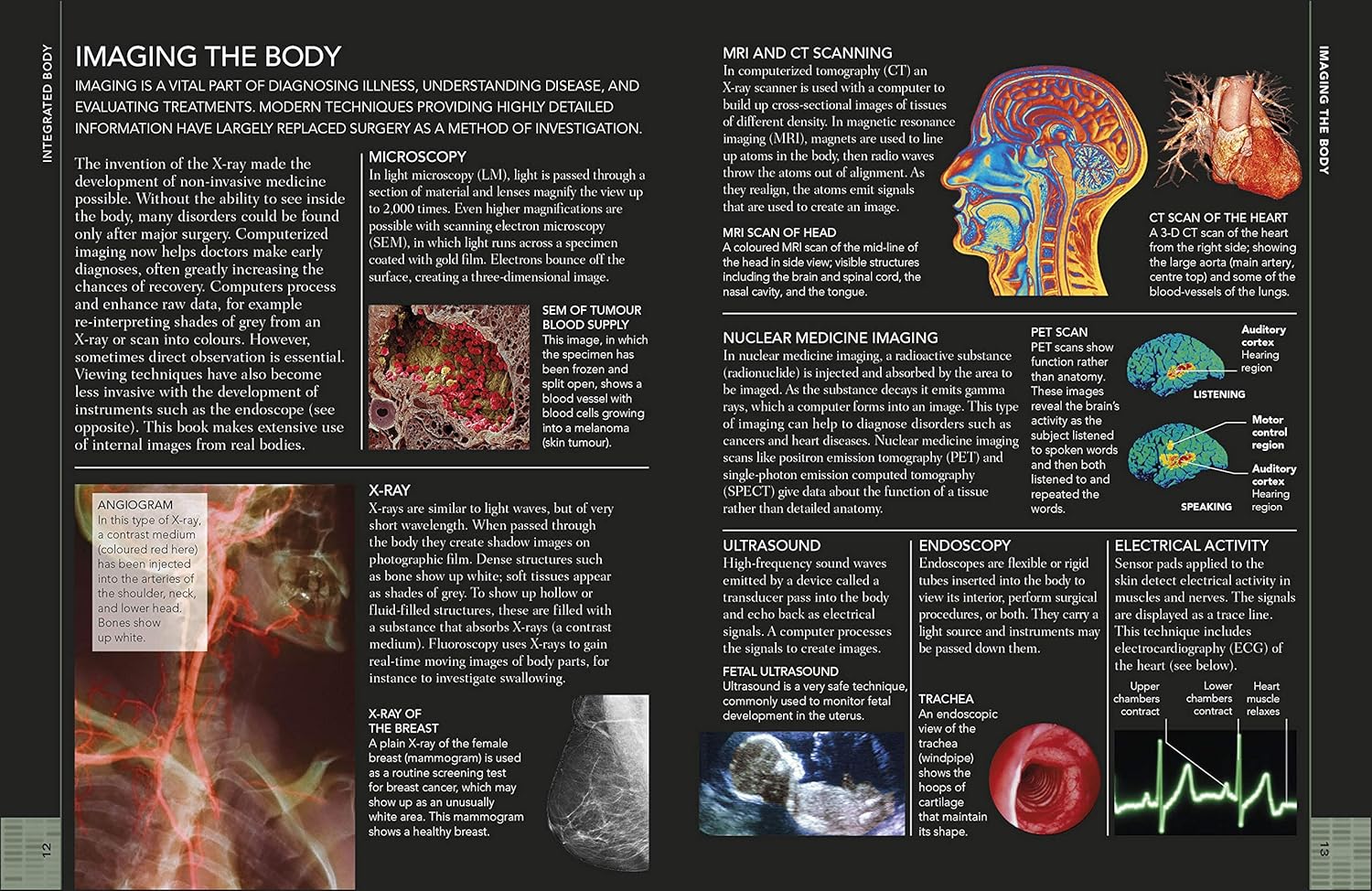 the concise human body book - Ảnh 3