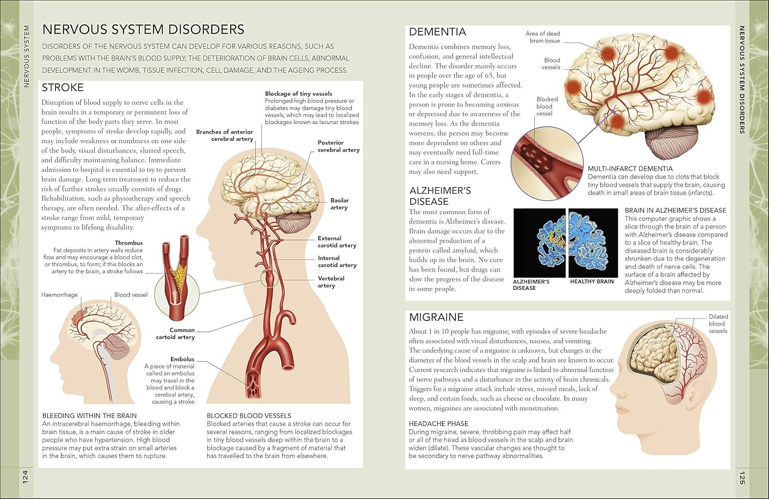the concise human body book - Ảnh 6