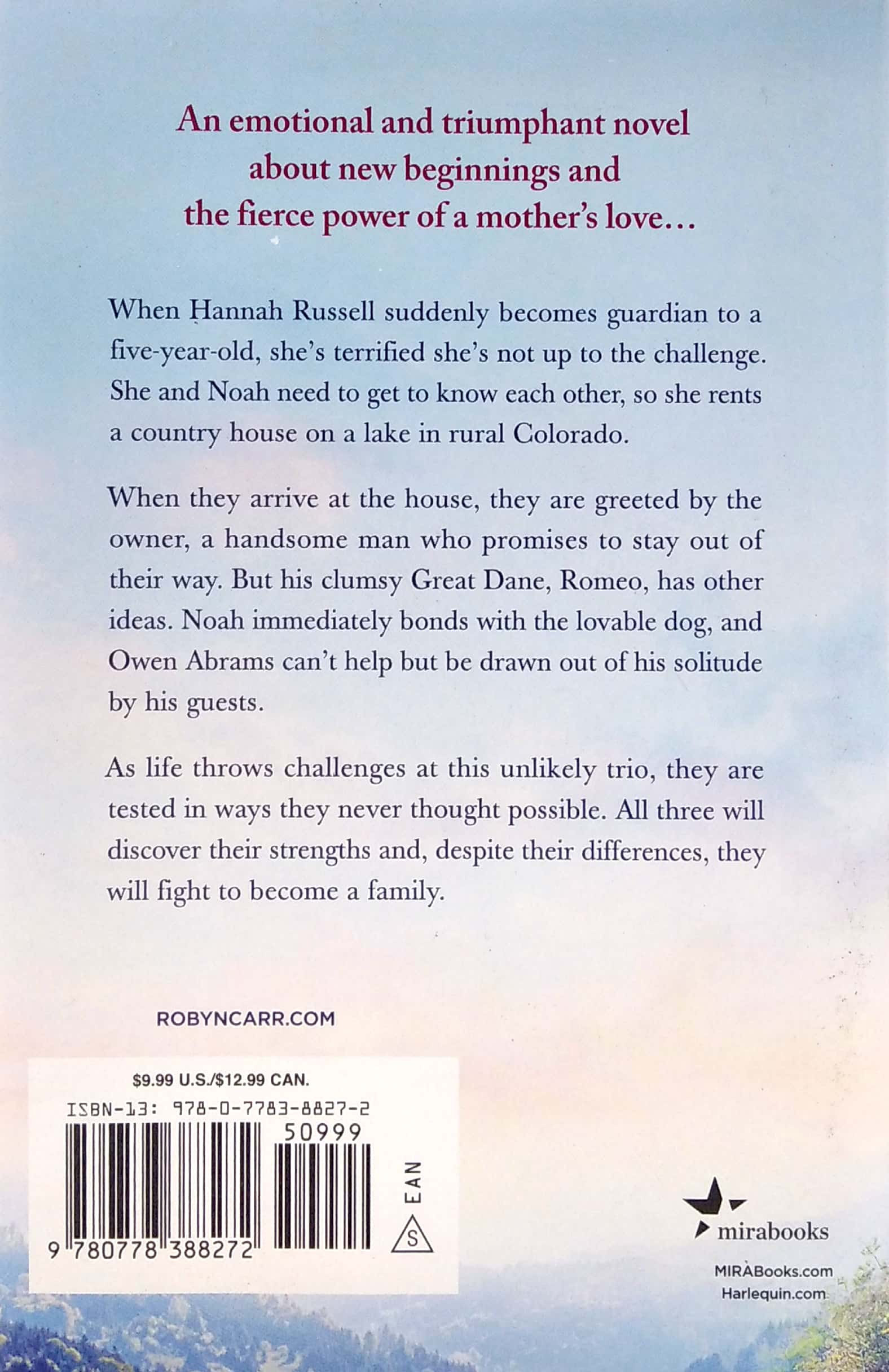 the country guesthouse (a sullivan's crossing 5) - Ảnh 6