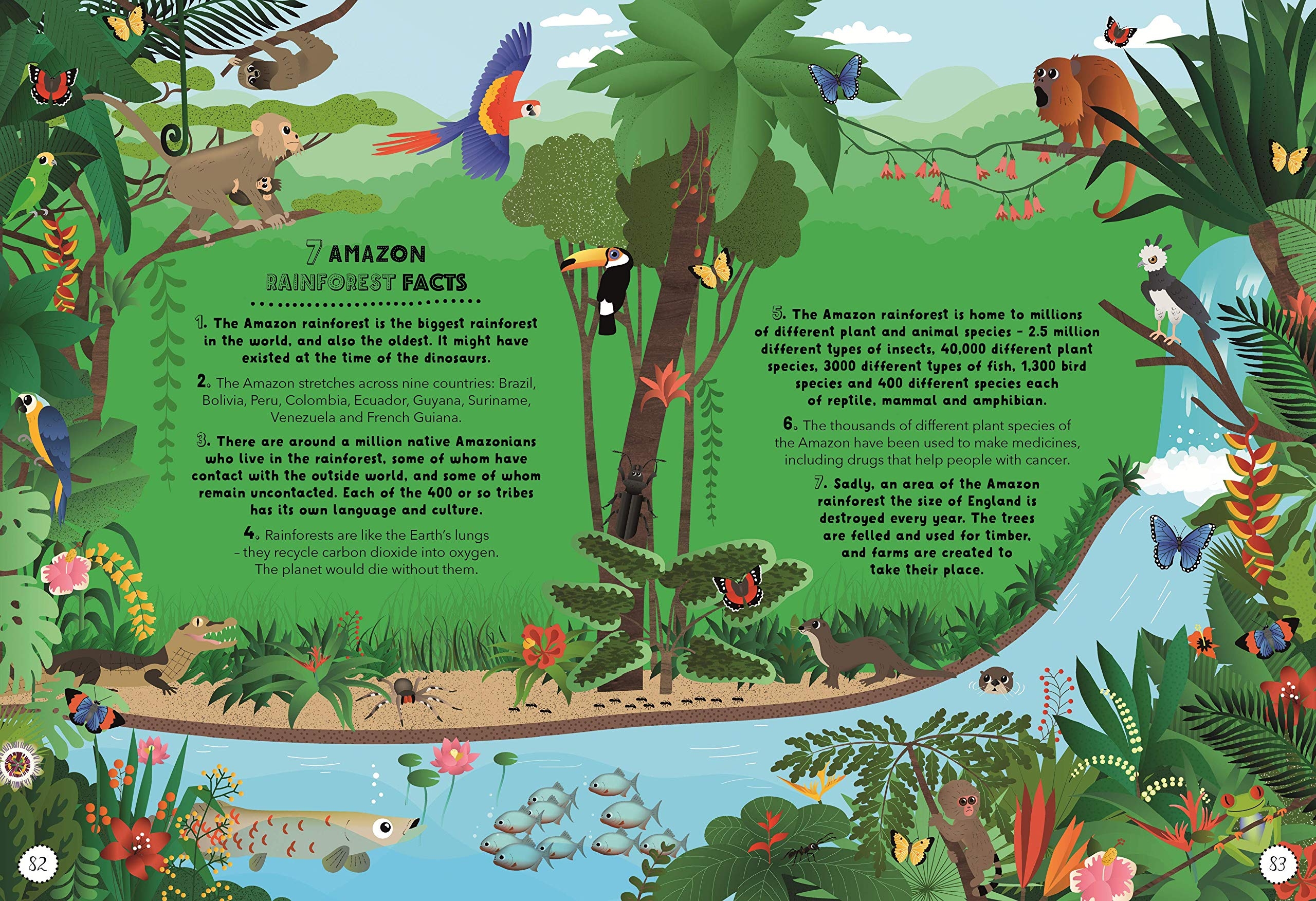 the curious book of lists: 263 fun, fascinating and fact-filled lists - Ảnh 4