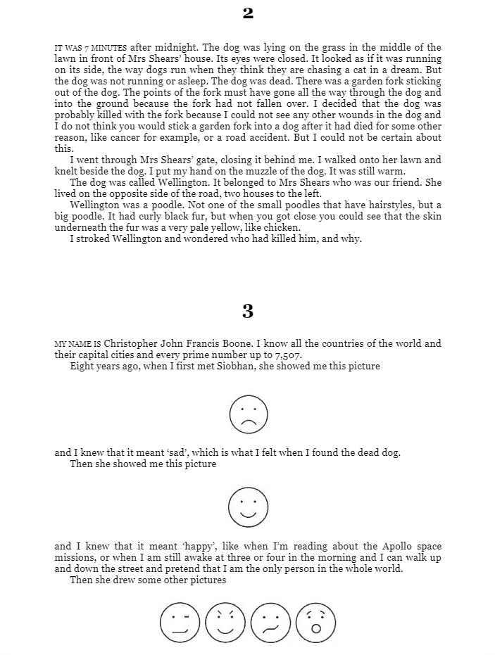 the curious incident of the dog in the night-time : vintage children's classics - Ảnh 6