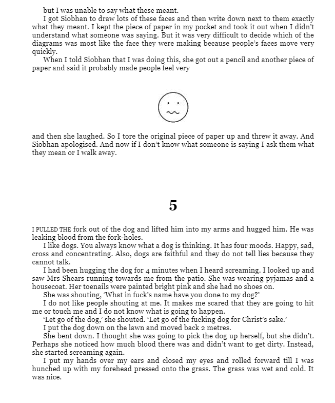 the curious incident of the dog in the night-time : vintage children's classics - Ảnh 7