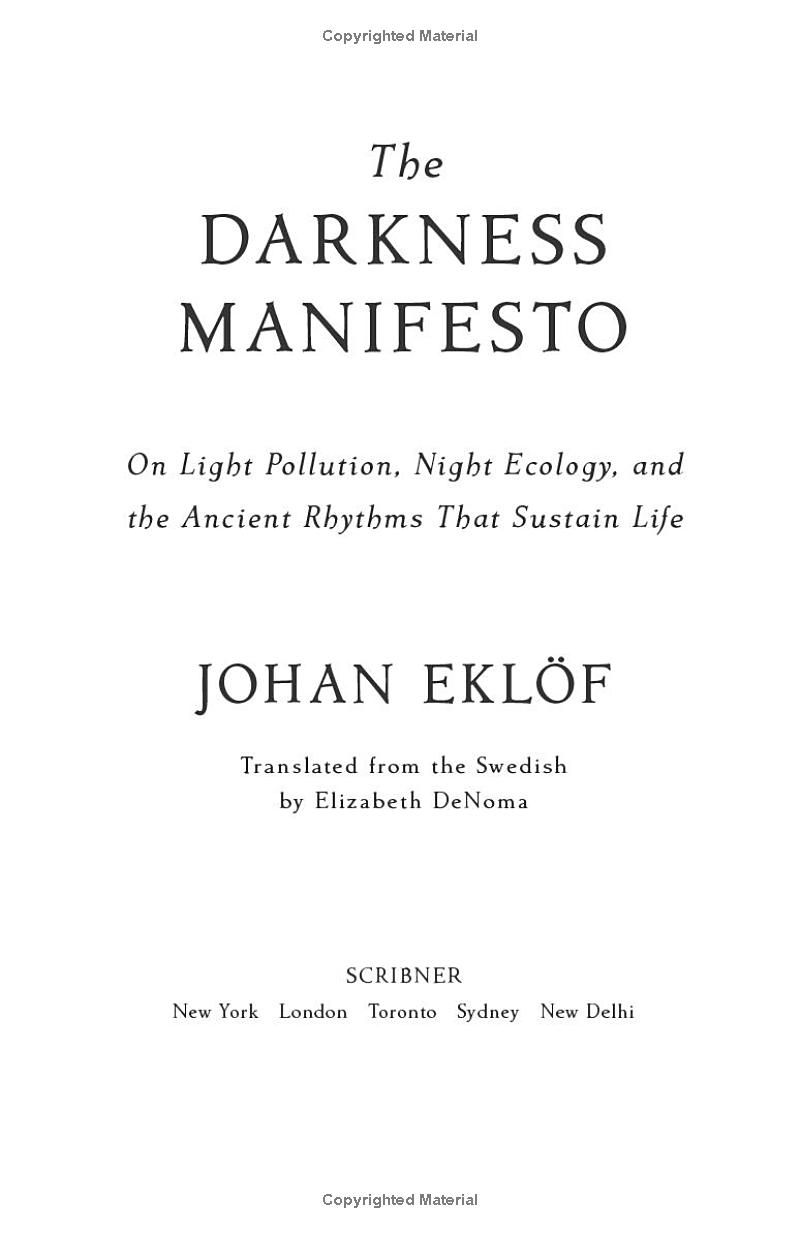 the darkness manifesto - Ảnh 3