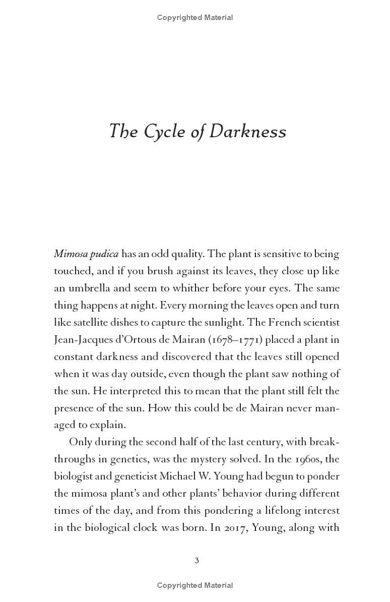 the darkness manifesto - Ảnh 7