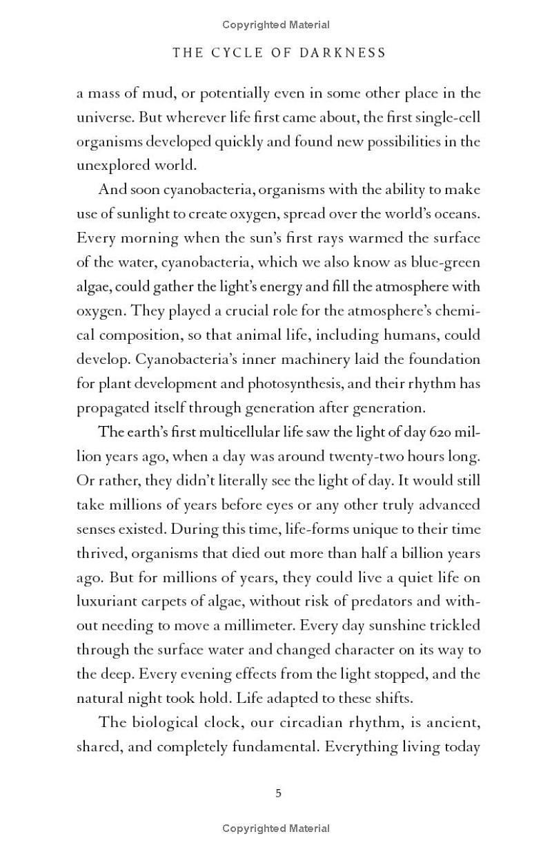 the darkness manifesto - Ảnh 9