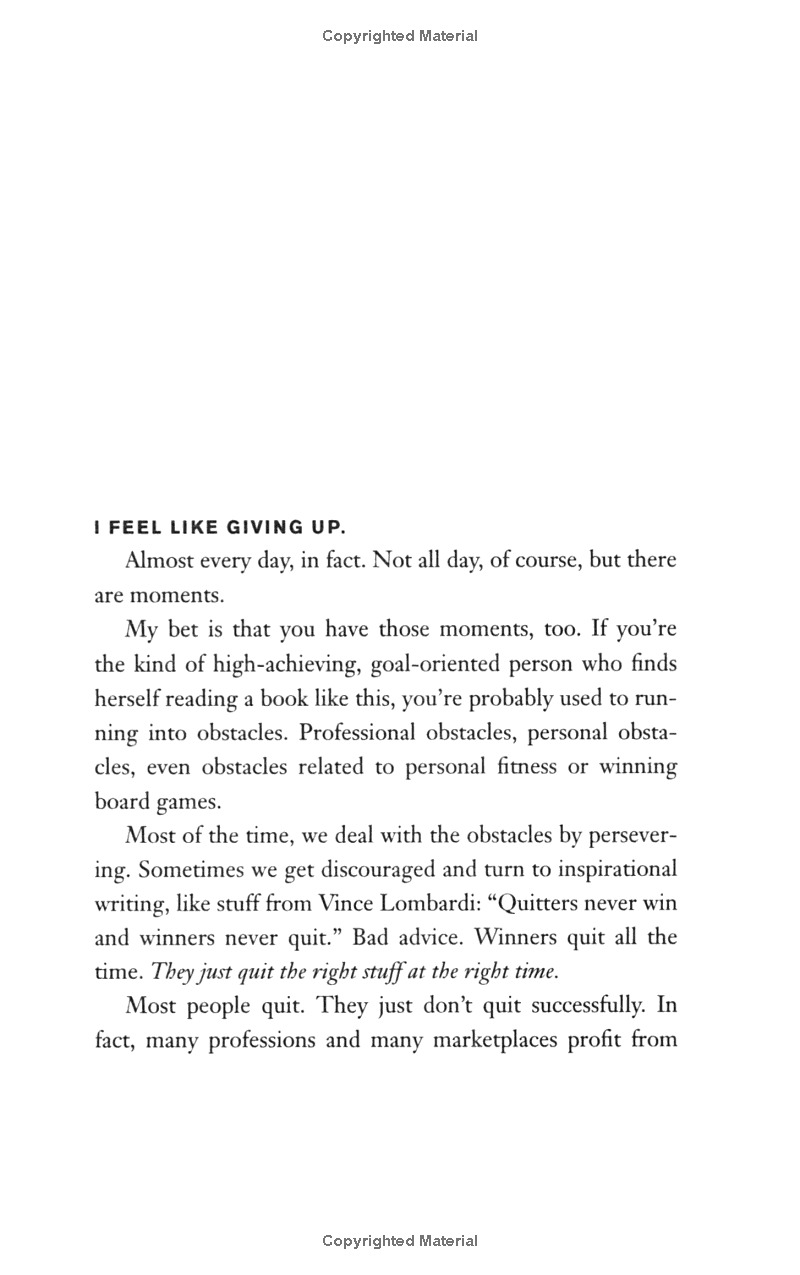 the dip - the extraordinary benefits of knowing when to quit (and when to stick) - Ảnh 3