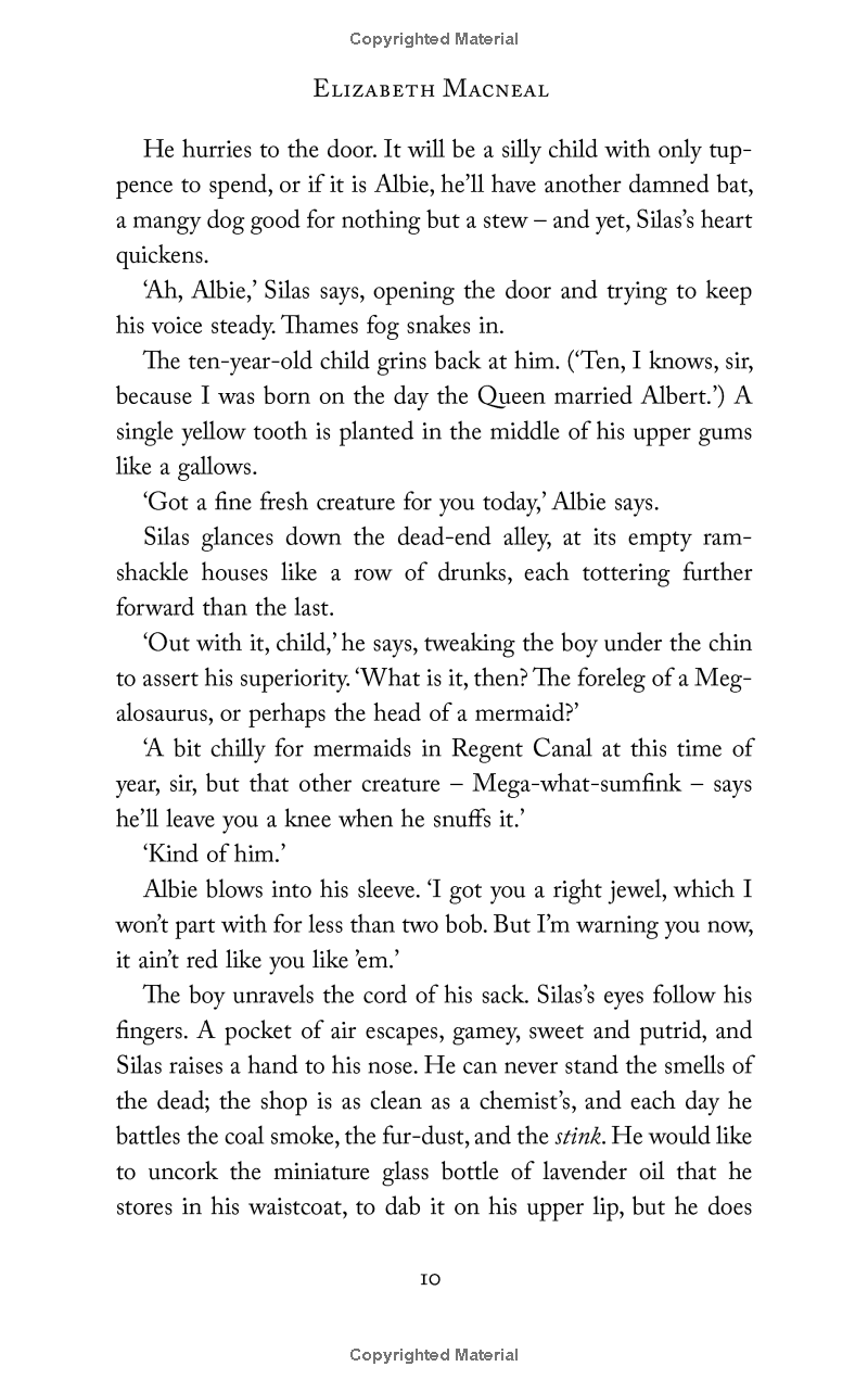 the doll factory - Ảnh 10