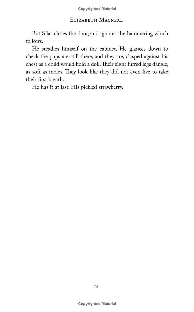 the doll factory - Ảnh 12