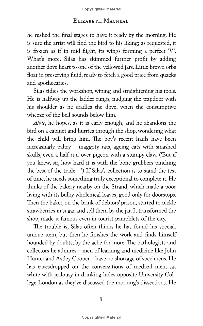 the doll factory - Ảnh 8