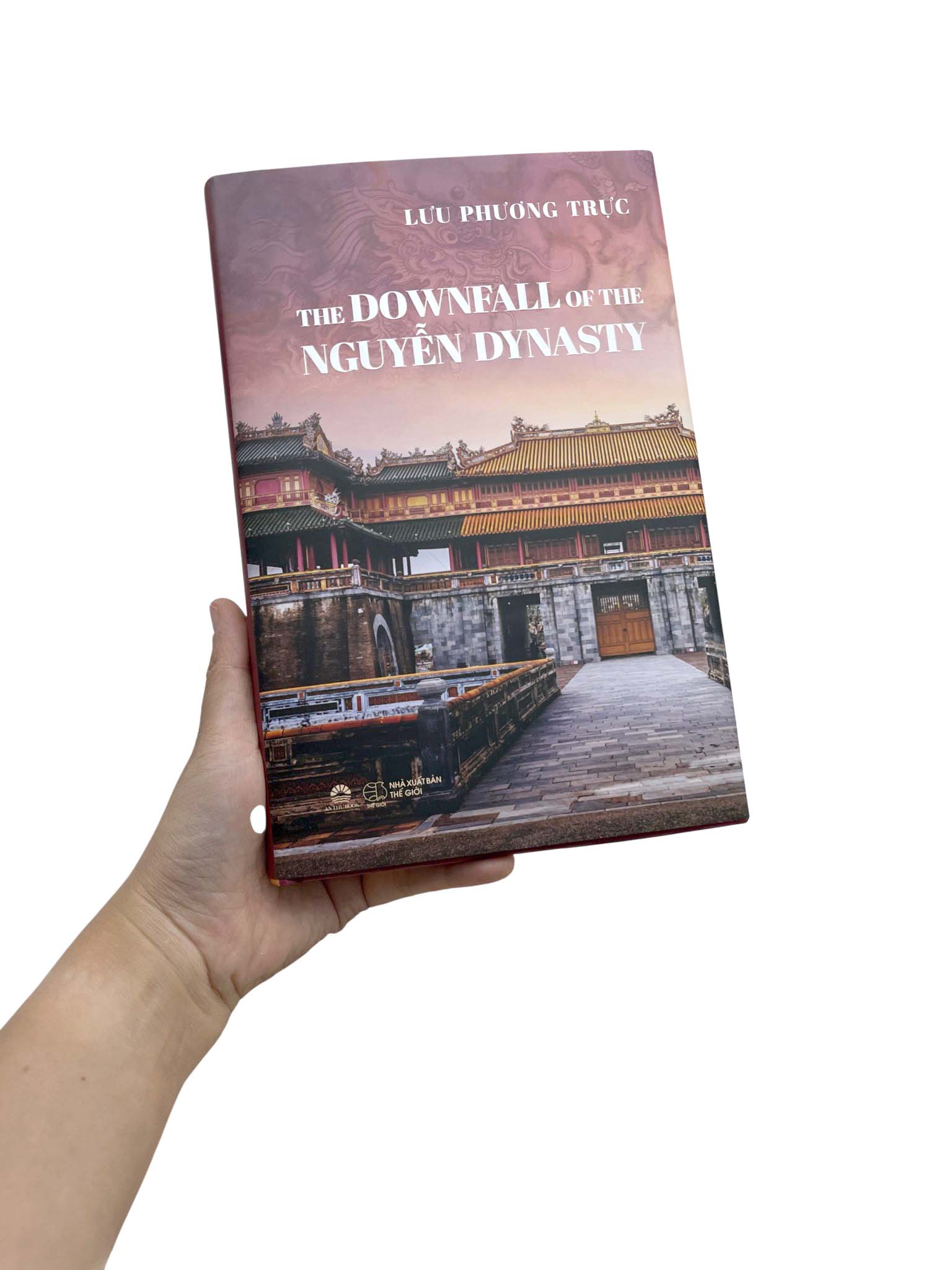 The Downfall of the Nguyen Dynasty - Ảnh 9