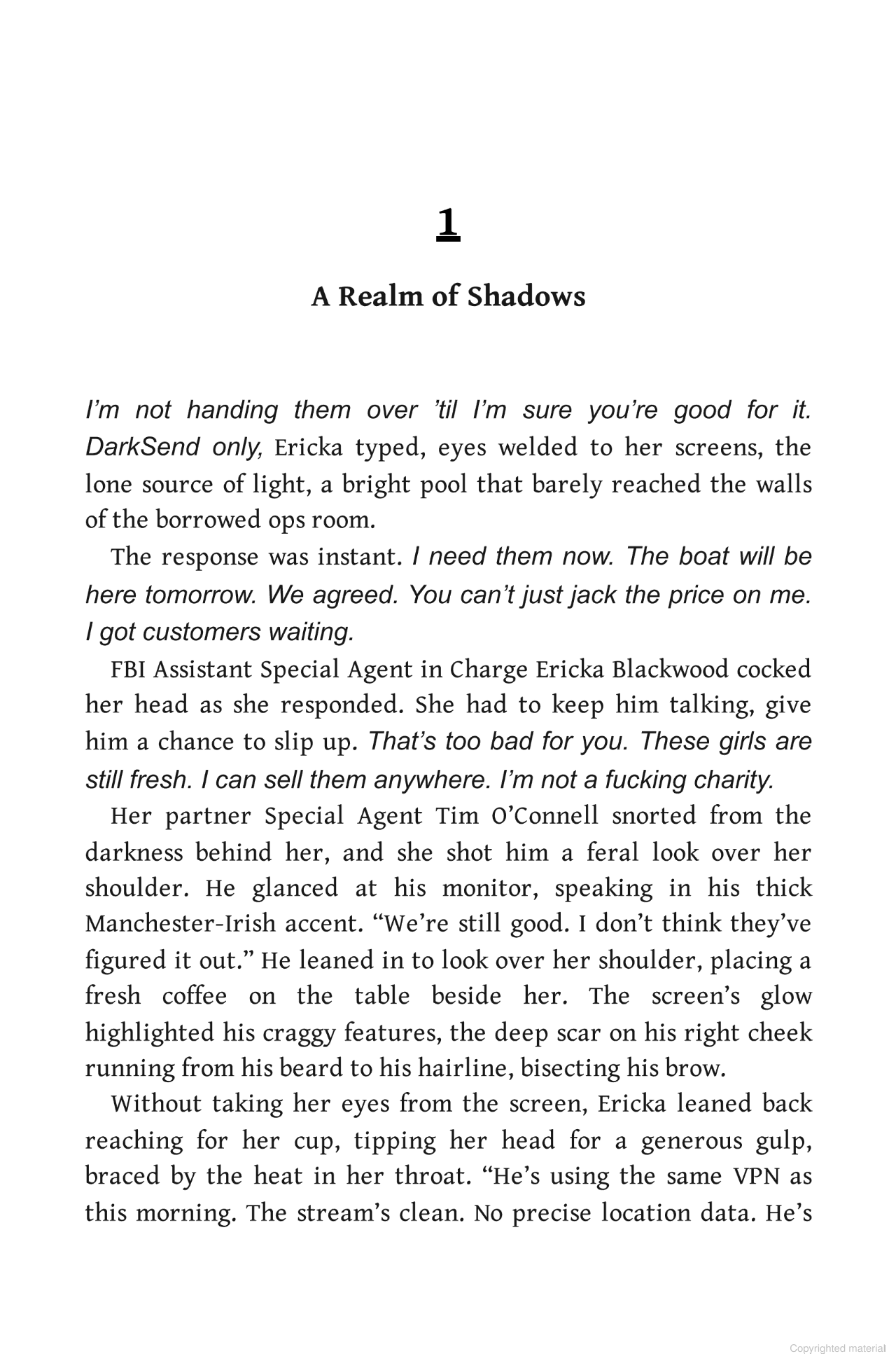 the ericka blackwood files - hacker - Ảnh 3