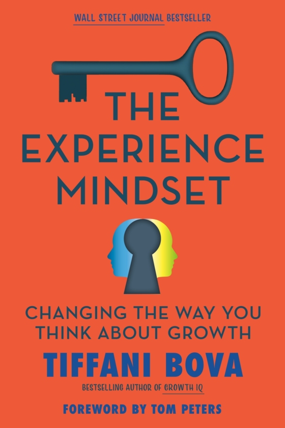 the experience mindset - Ảnh 2