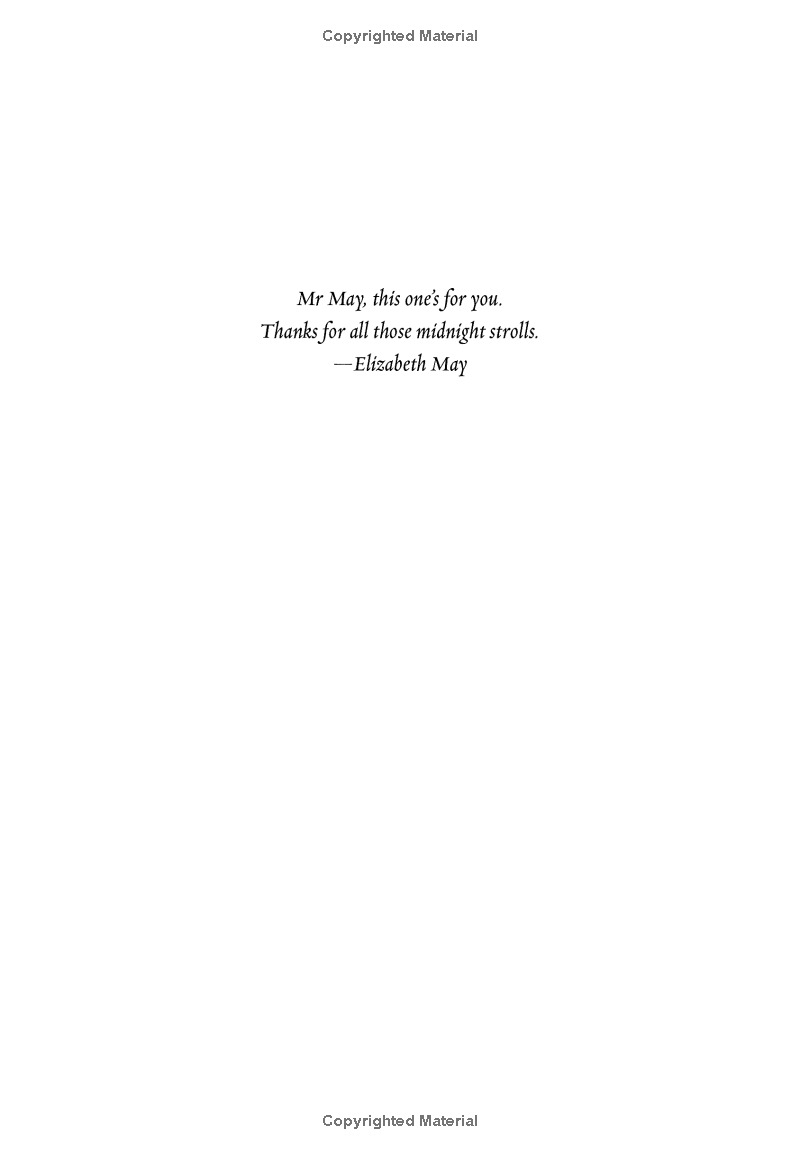 The Falconer - Ảnh 4