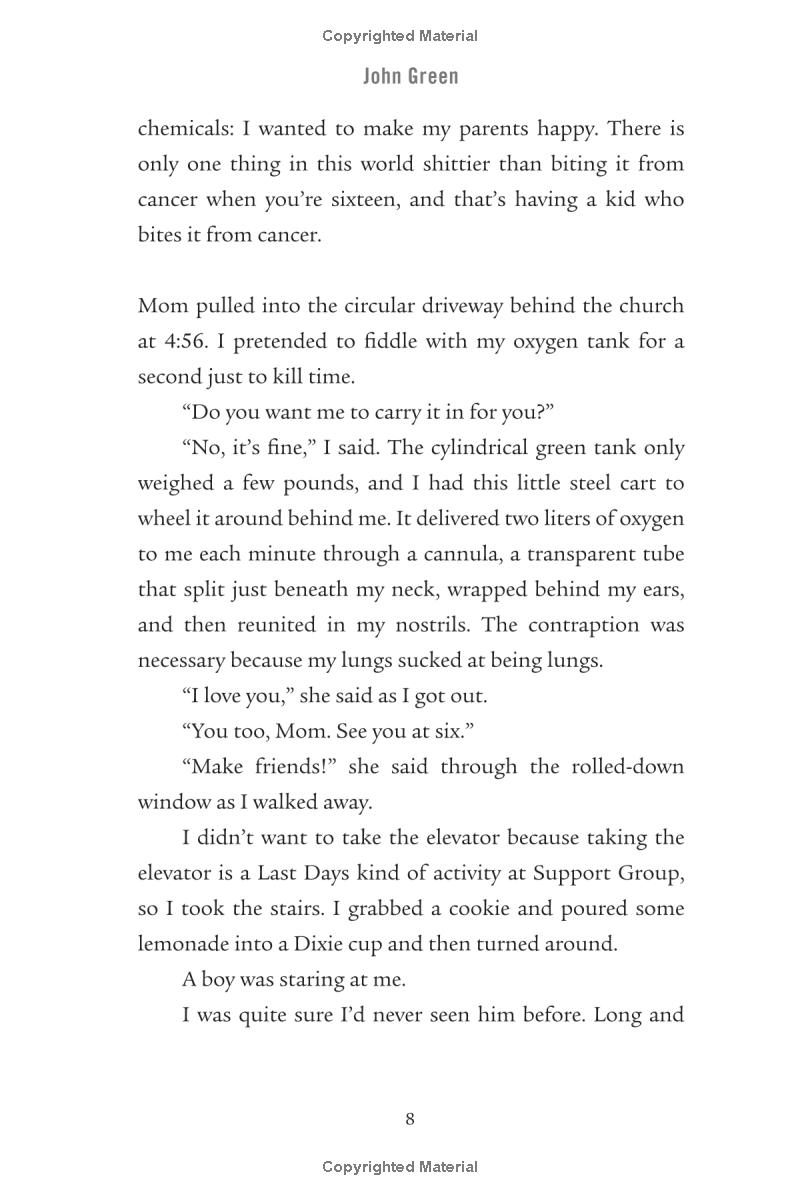 the fault in our stars - Ảnh 10