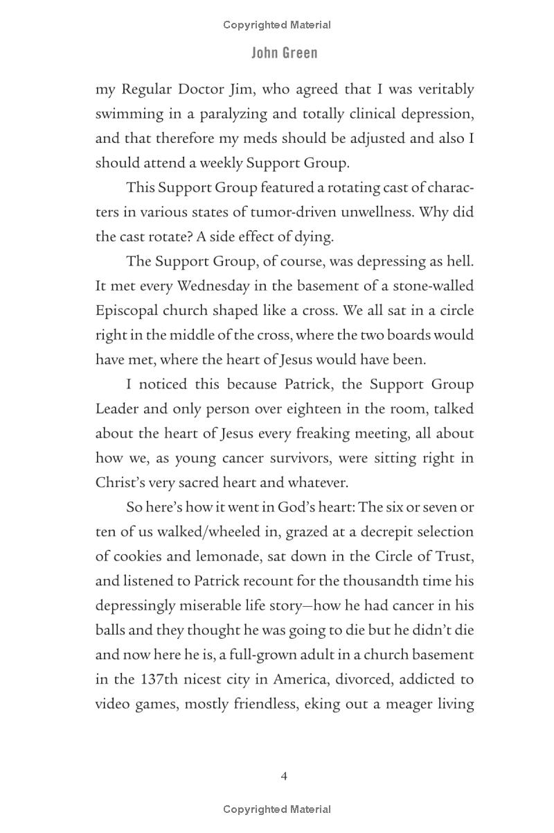 the fault in our stars - Ảnh 6