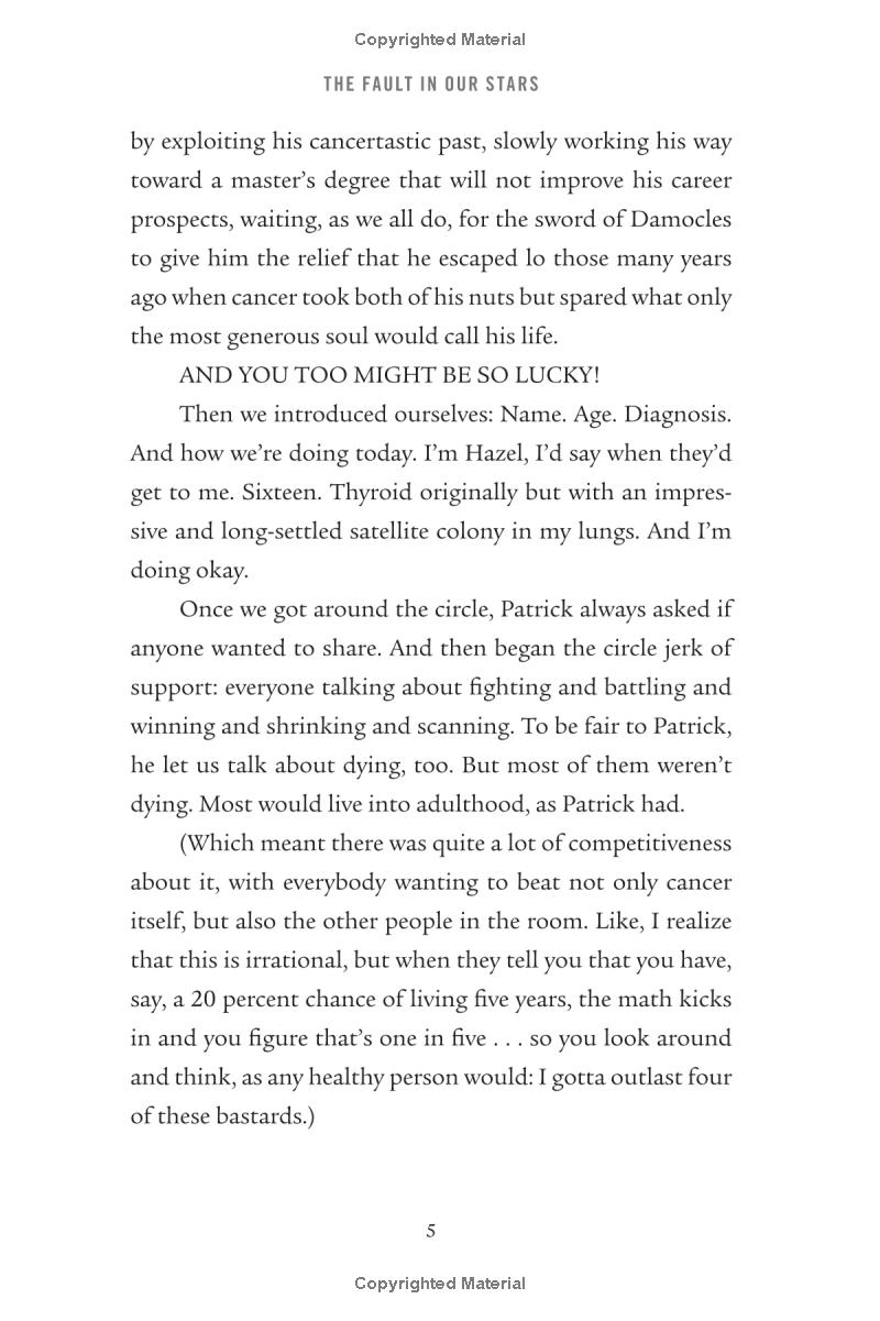 the fault in our stars - Ảnh 7