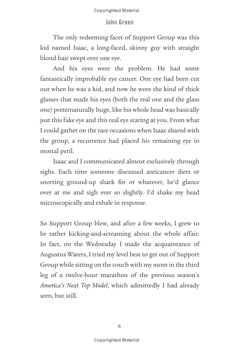 the fault in our stars - Ảnh 8