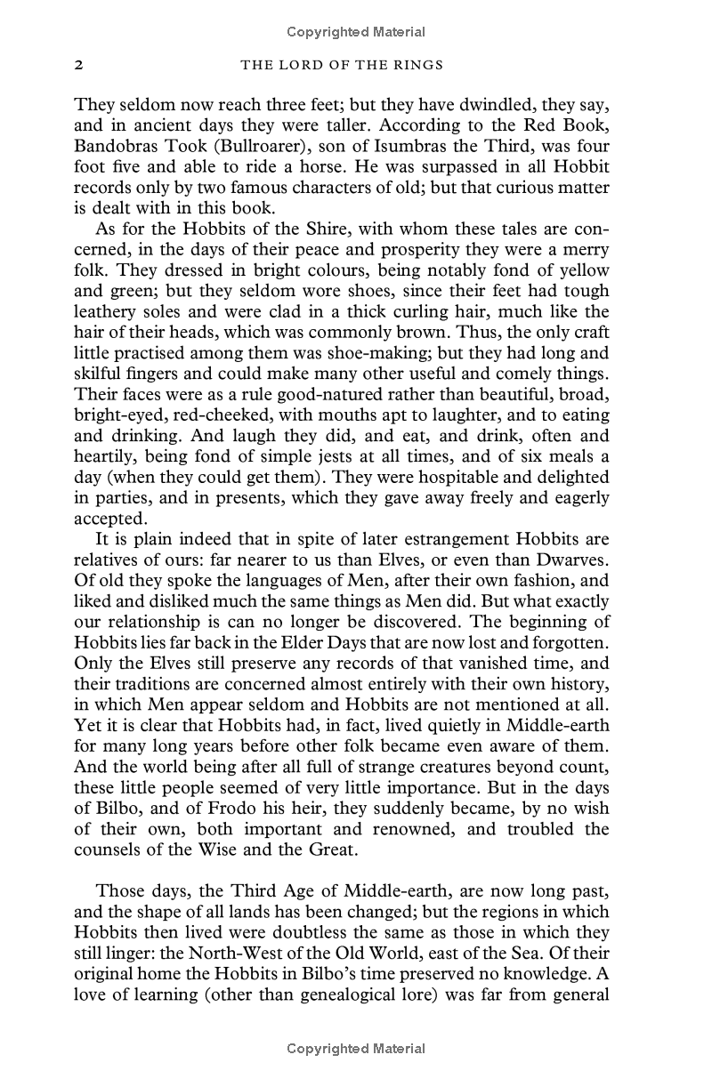 the fellowship of the ring - Ảnh 5