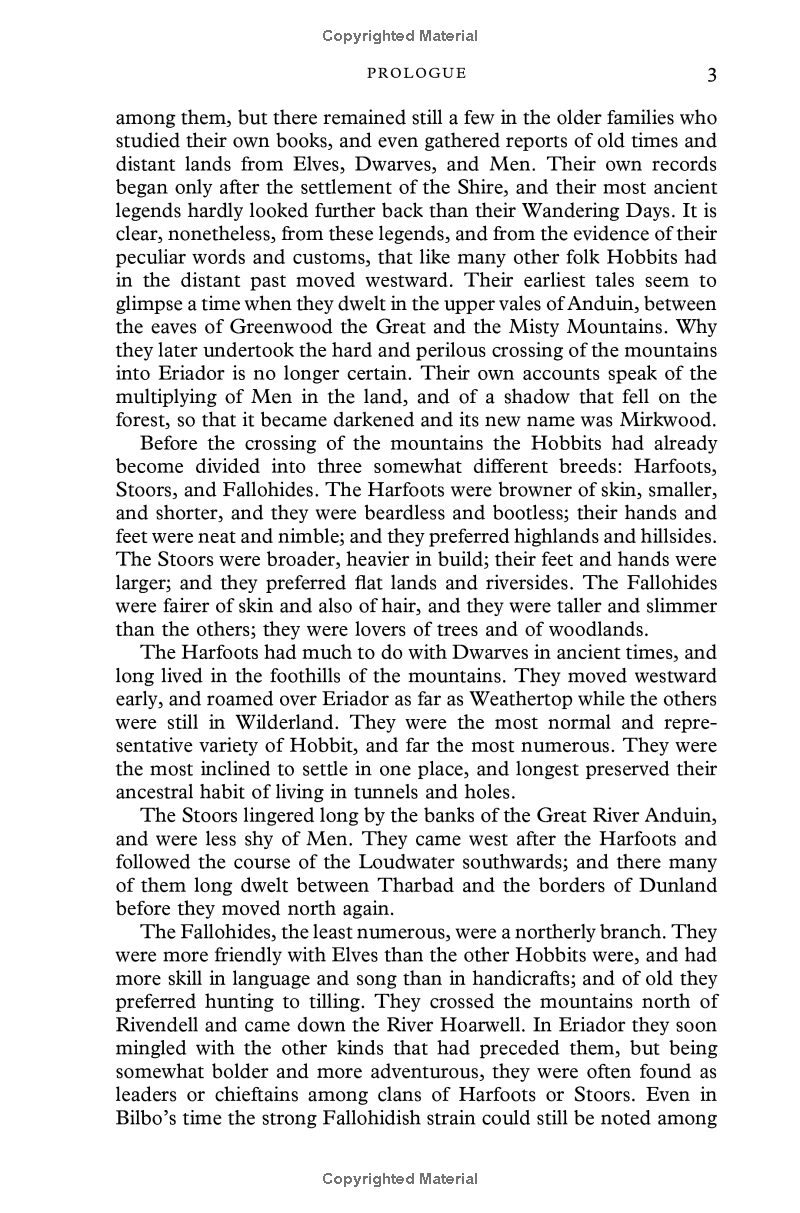 the fellowship of the ring - Ảnh 6