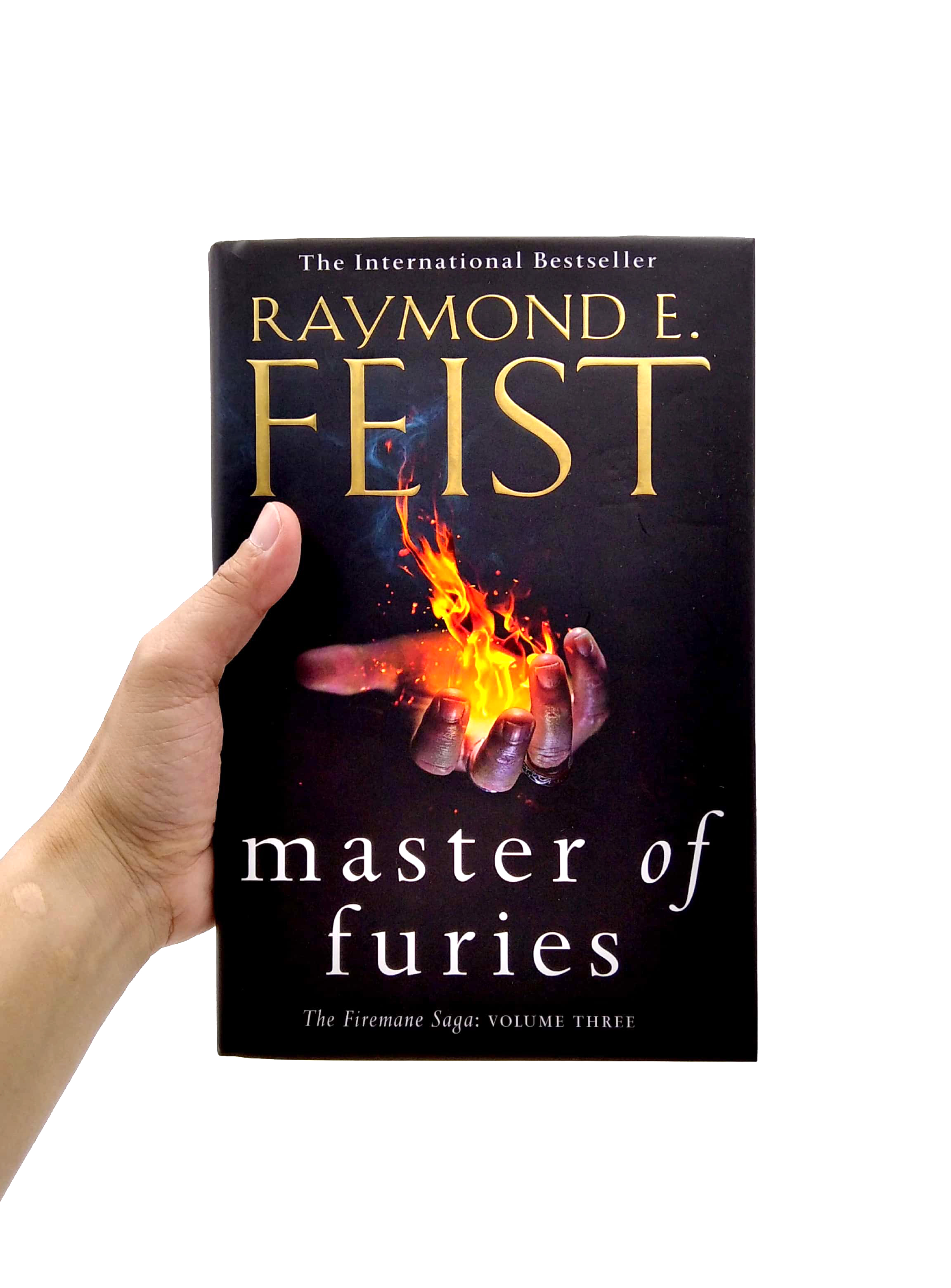 the firemane saga: master of furies - Ảnh 7