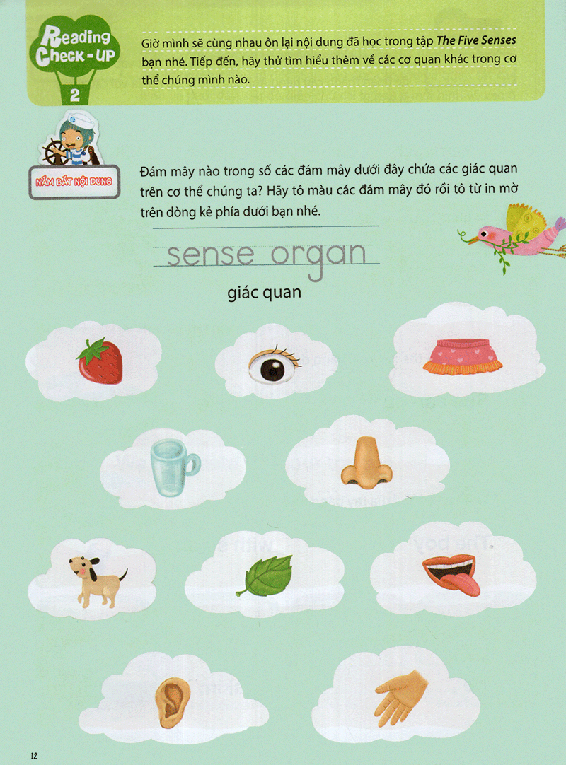 the five senses - năm giác quan -trình độ 1 (tập 5) - Ảnh 14