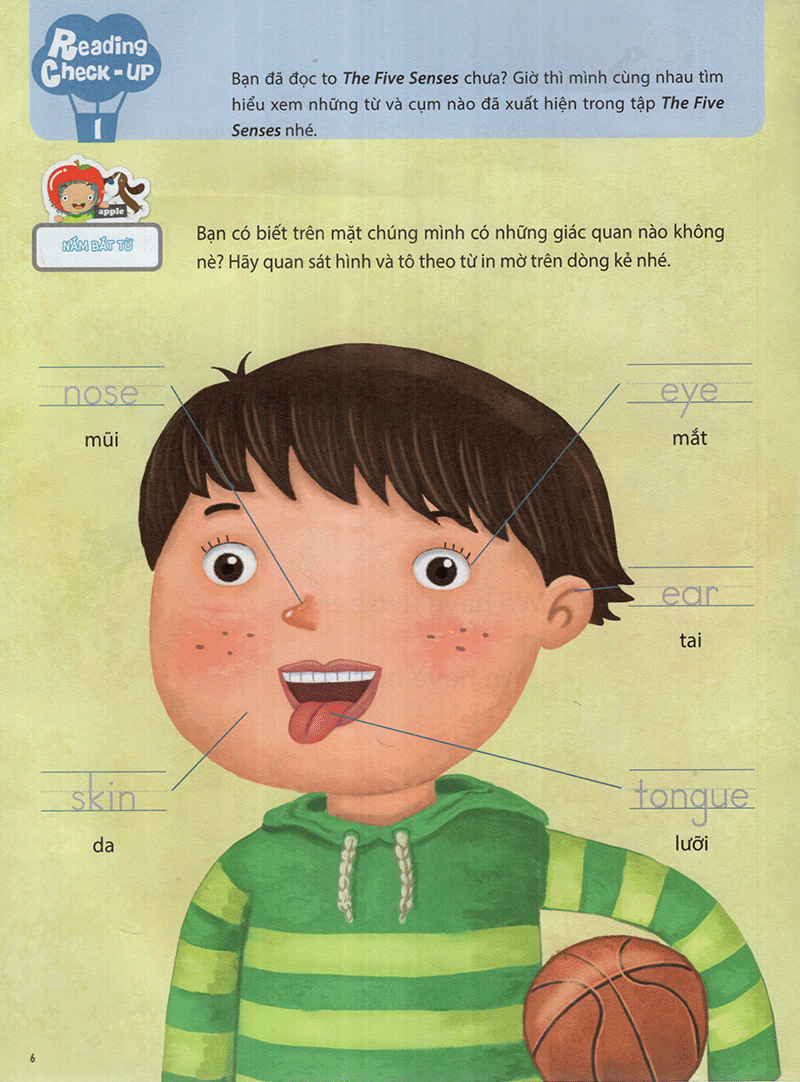 the five senses - năm giác quan -trình độ 1 (tập 5) - Ảnh 8