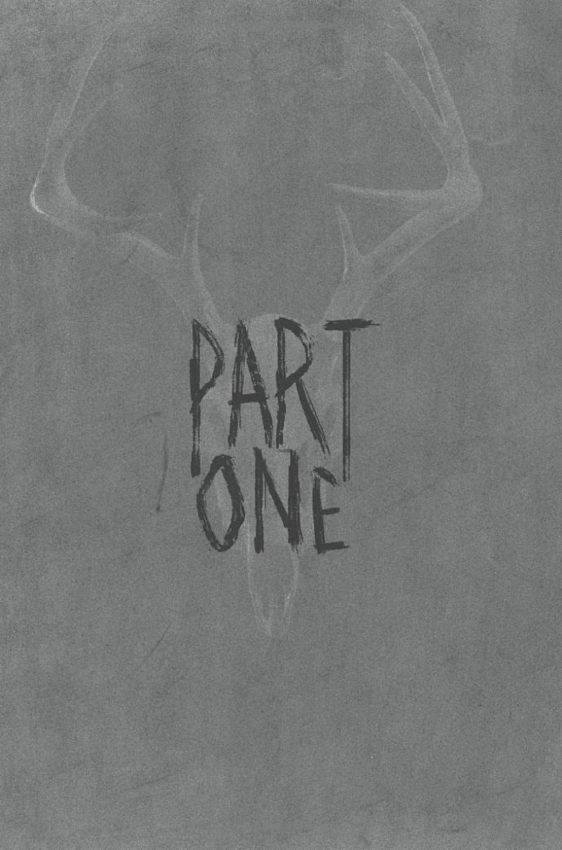 the forest demands its due - Ảnh 5