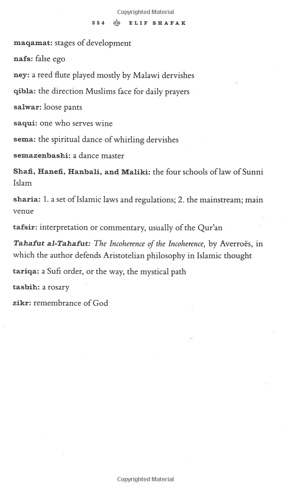 the forty rules of love - Ảnh 10