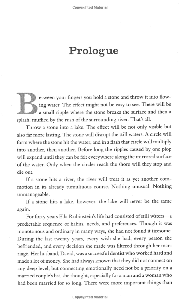 the forty rules of love - Ảnh 3