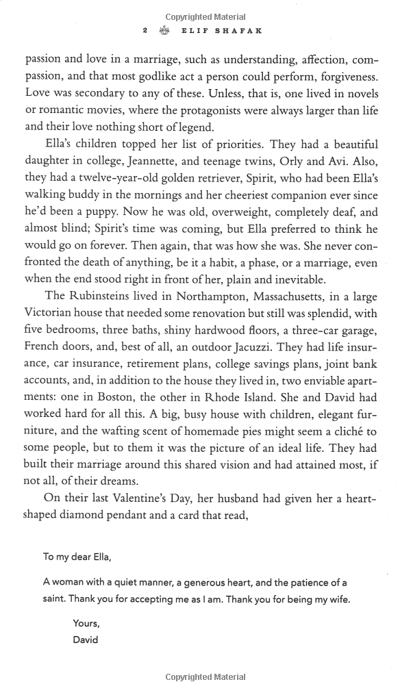 the forty rules of love - Ảnh 4