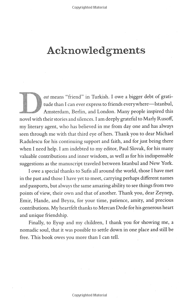 the forty rules of love - Ảnh 8