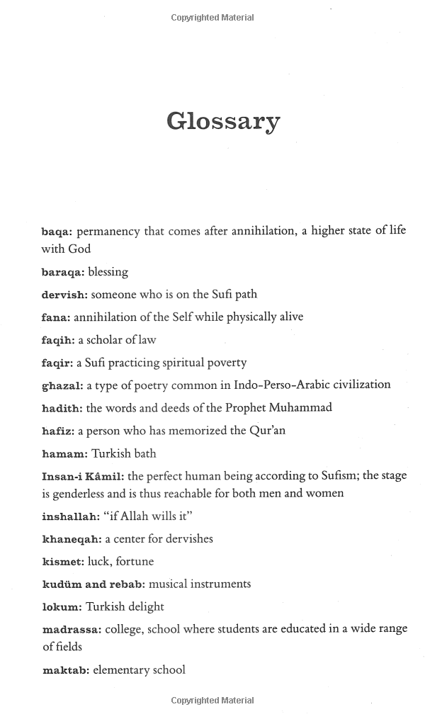 the forty rules of love - Ảnh 9