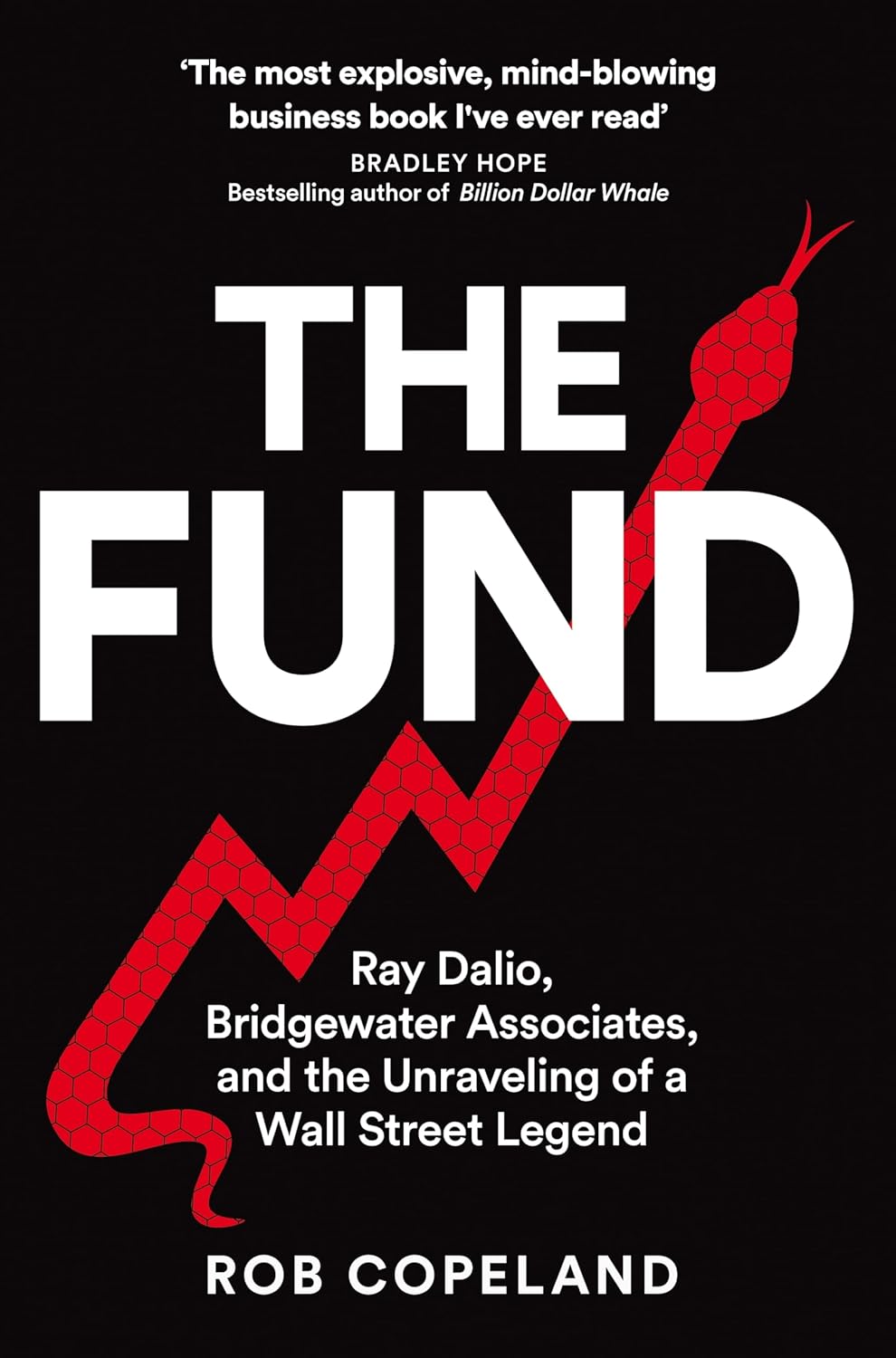 the fund - Ảnh 2