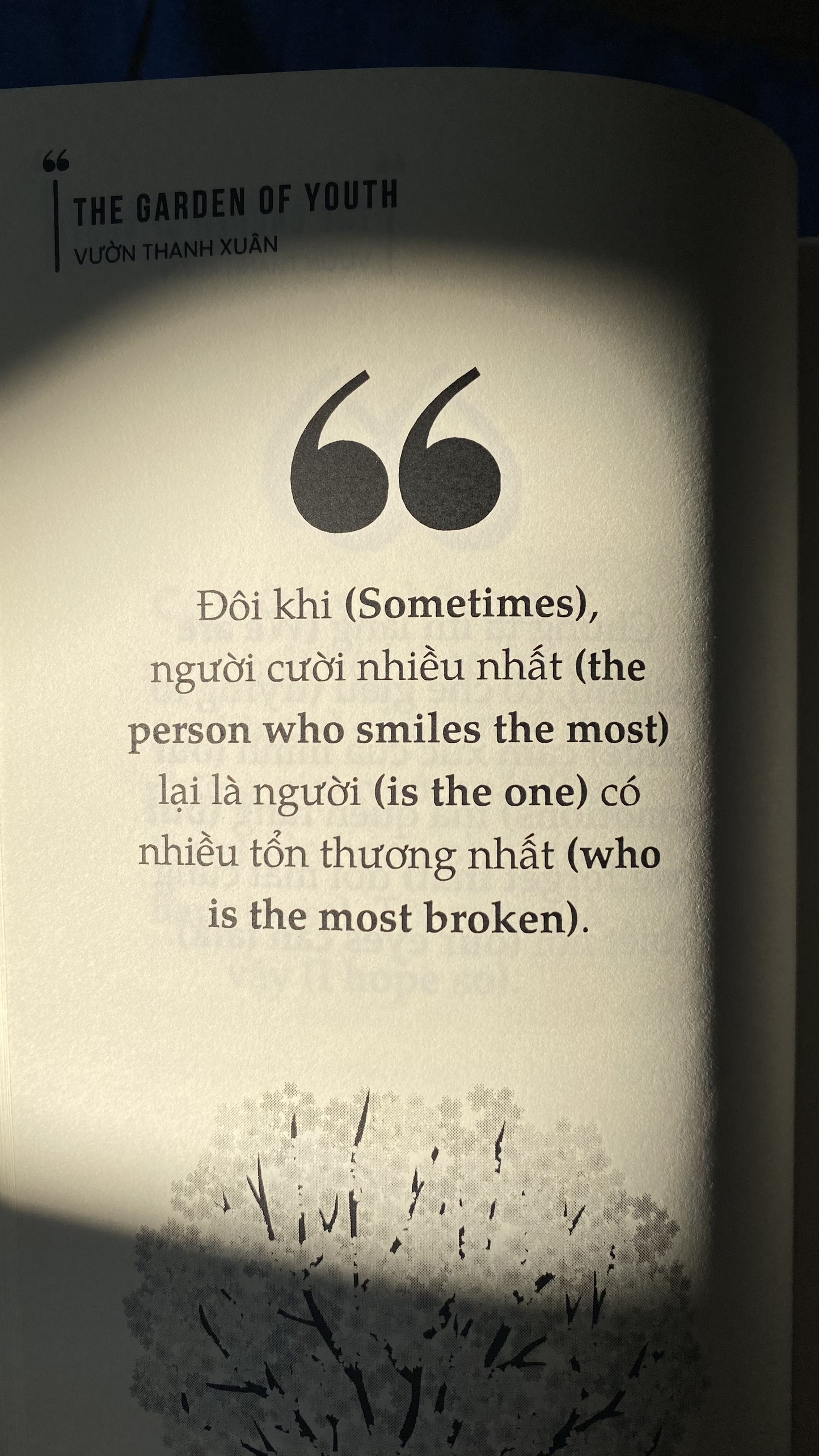 the garden of youth - vườn thanh xuân - Ảnh 10