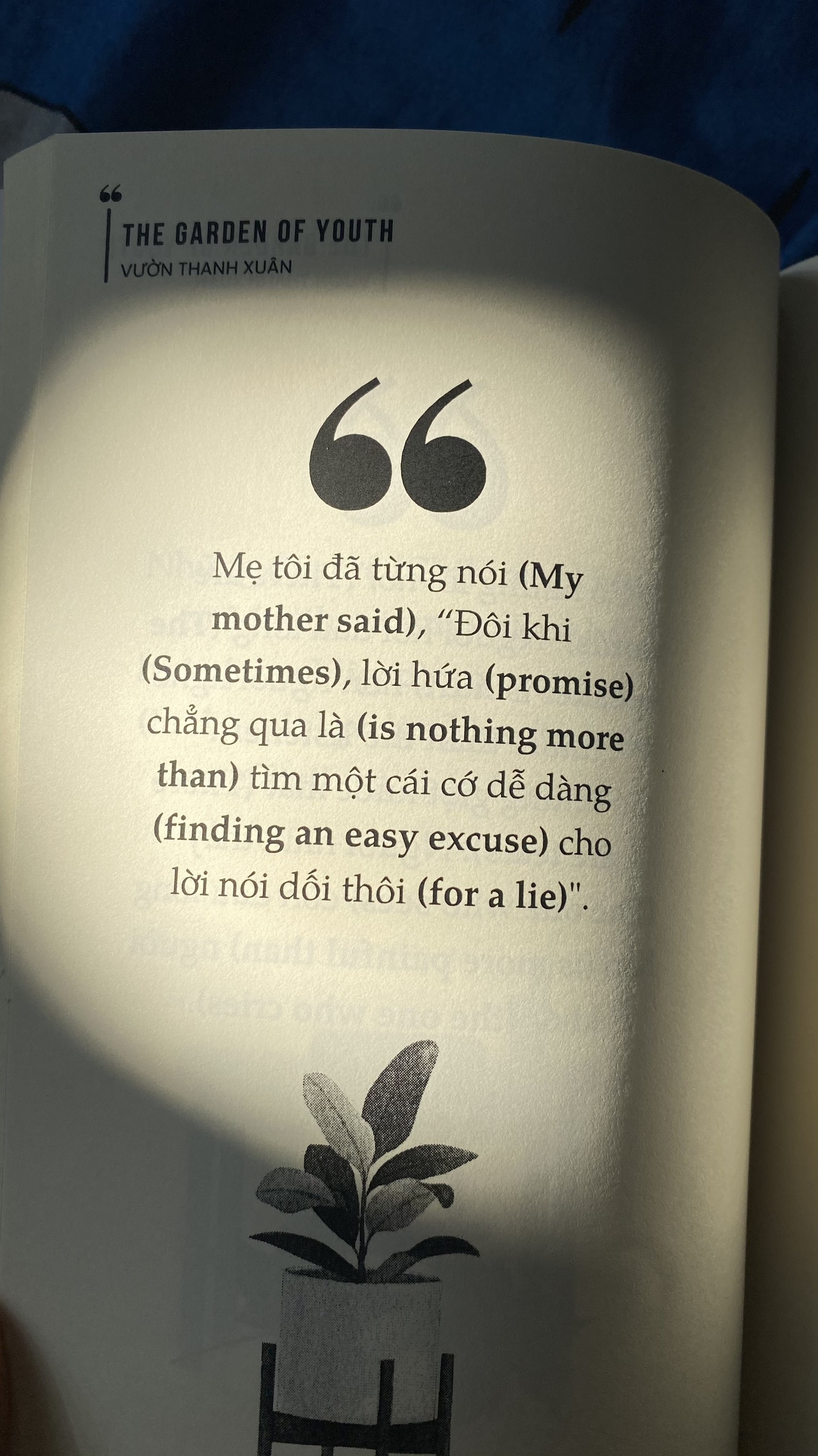 the garden of youth - vườn thanh xuân - Ảnh 12