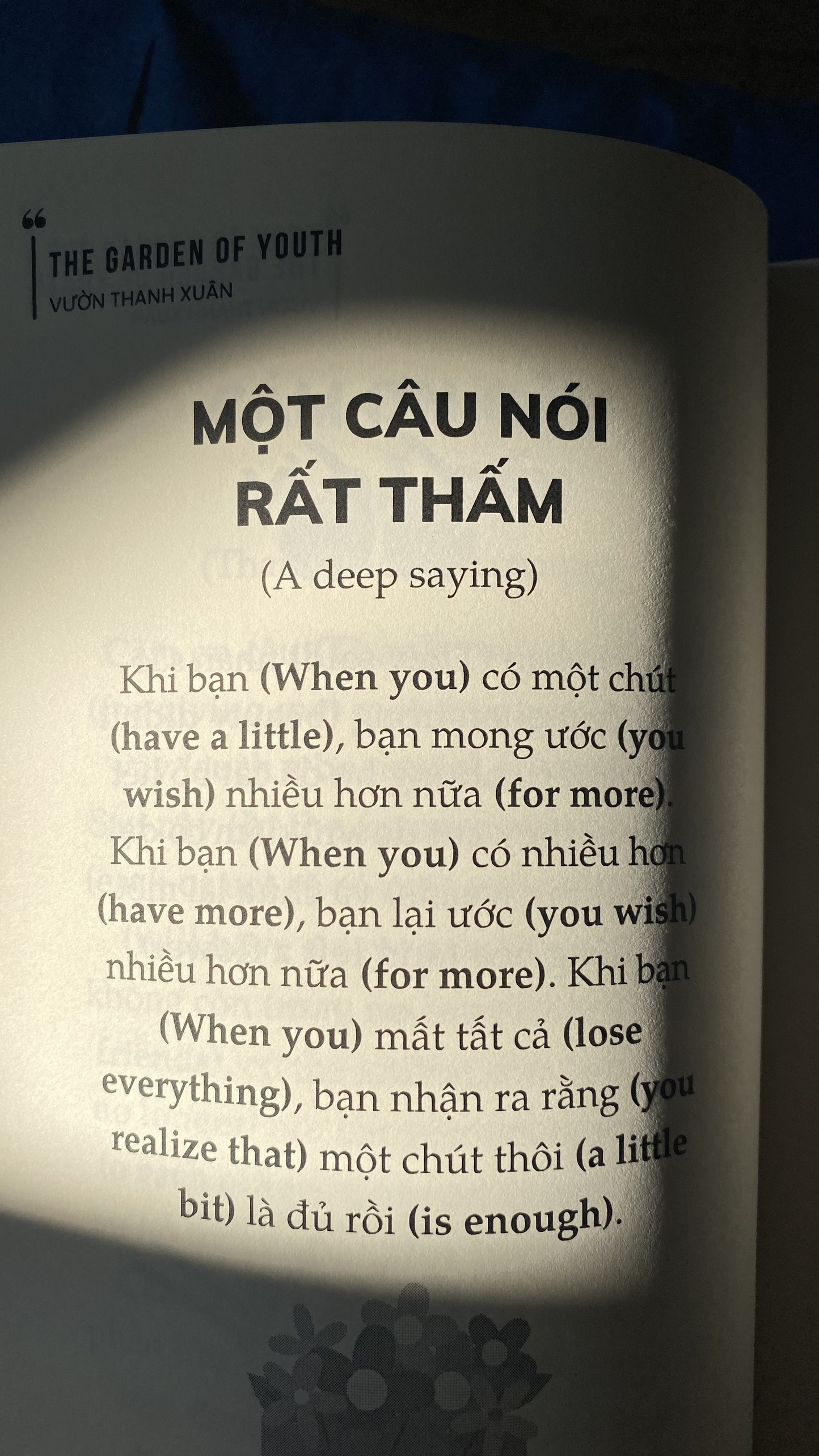 the garden of youth - vườn thanh xuân - Ảnh 7