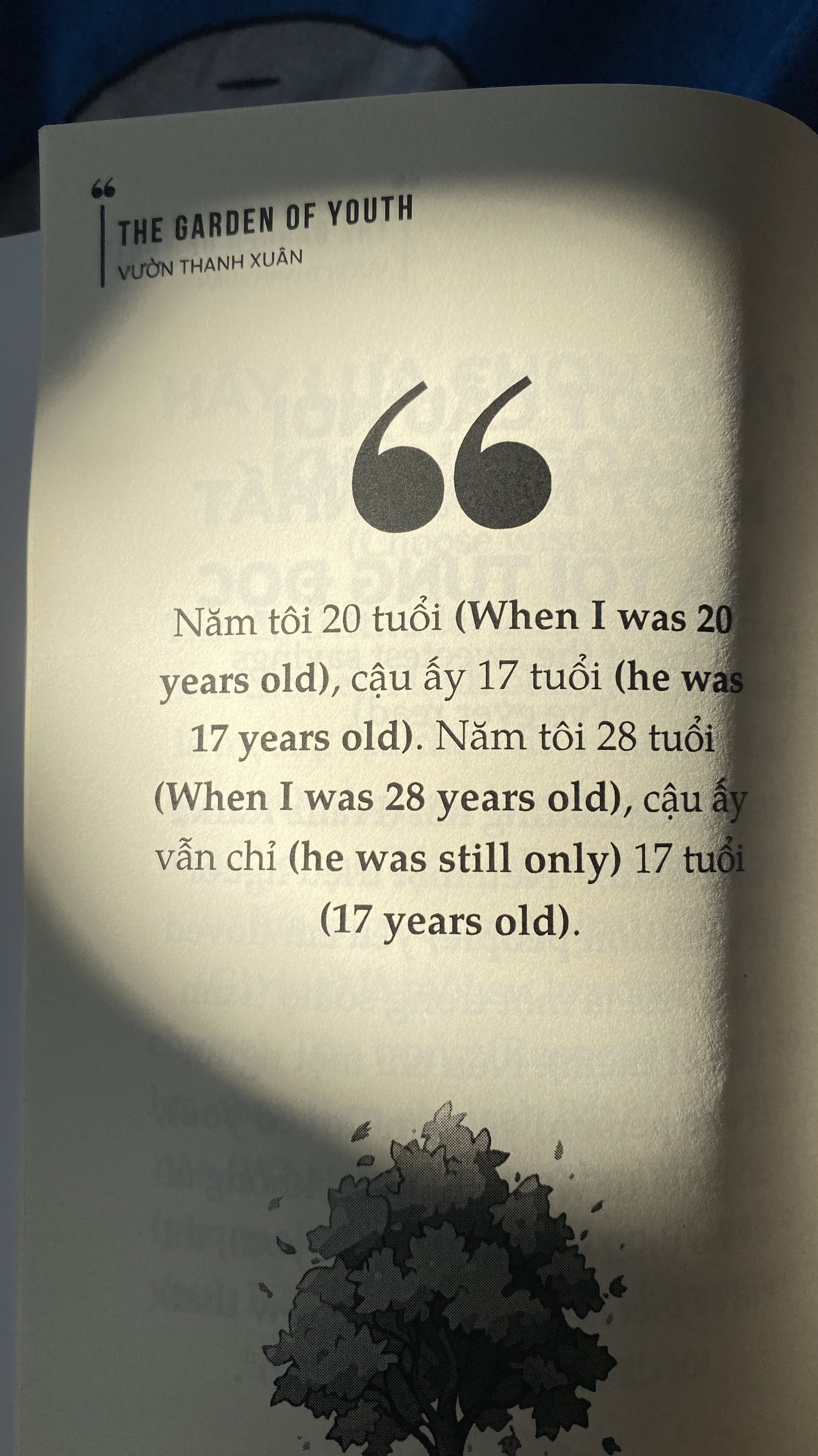 the garden of youth - vườn thanh xuân - Ảnh 8