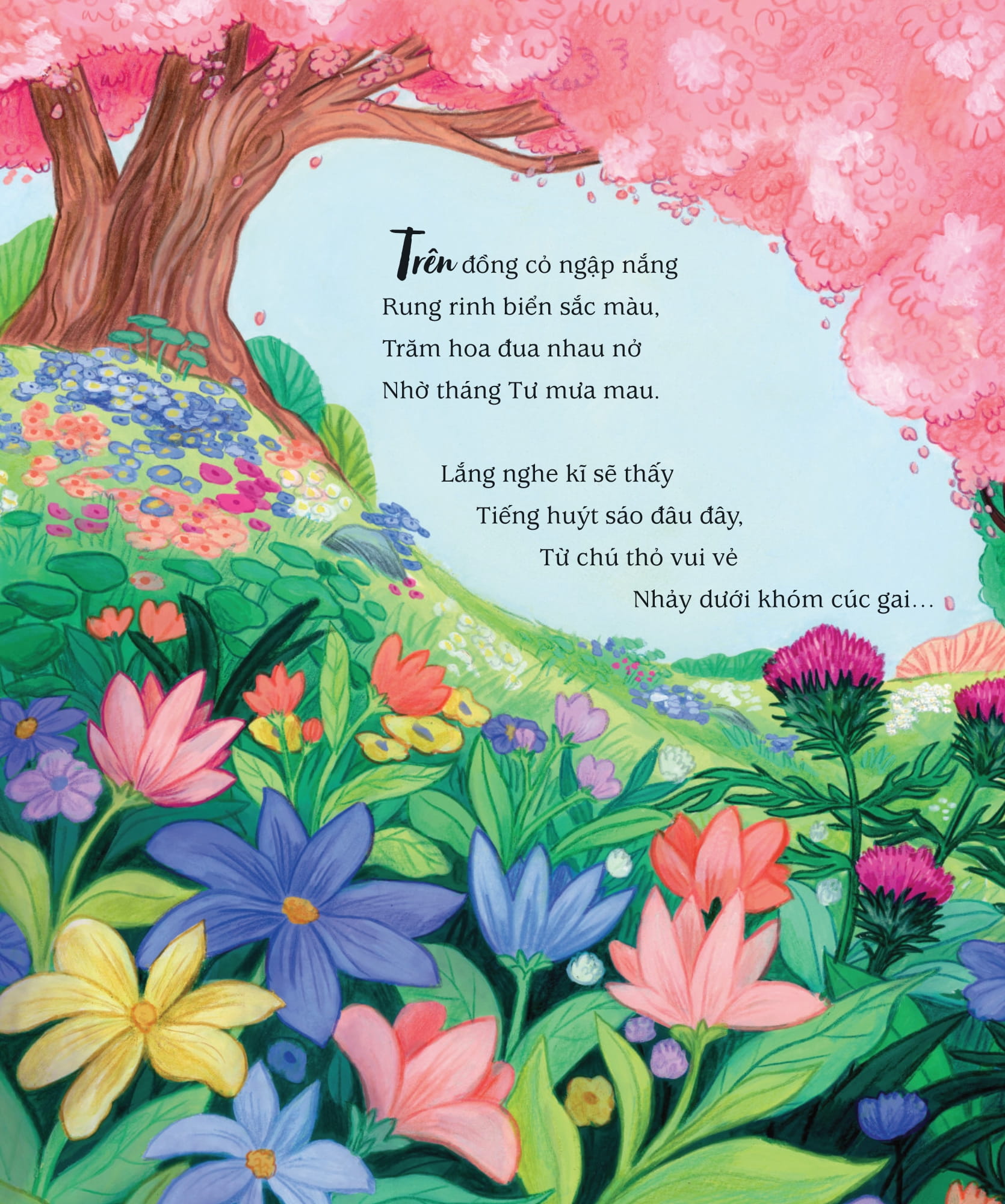 Thế Giới Của Thỏ Peter - Bay Cao Và Xa Mãi - Ảnh 4