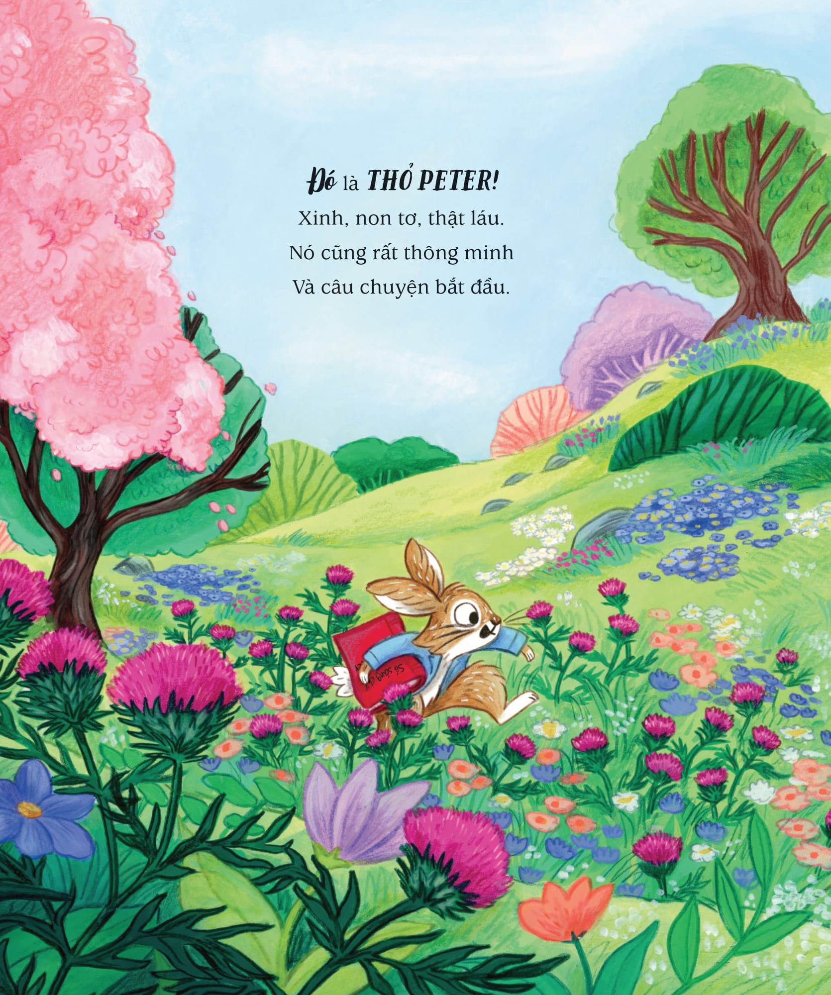 Thế Giới Của Thỏ Peter - Bay Cao Và Xa Mãi - Ảnh 5