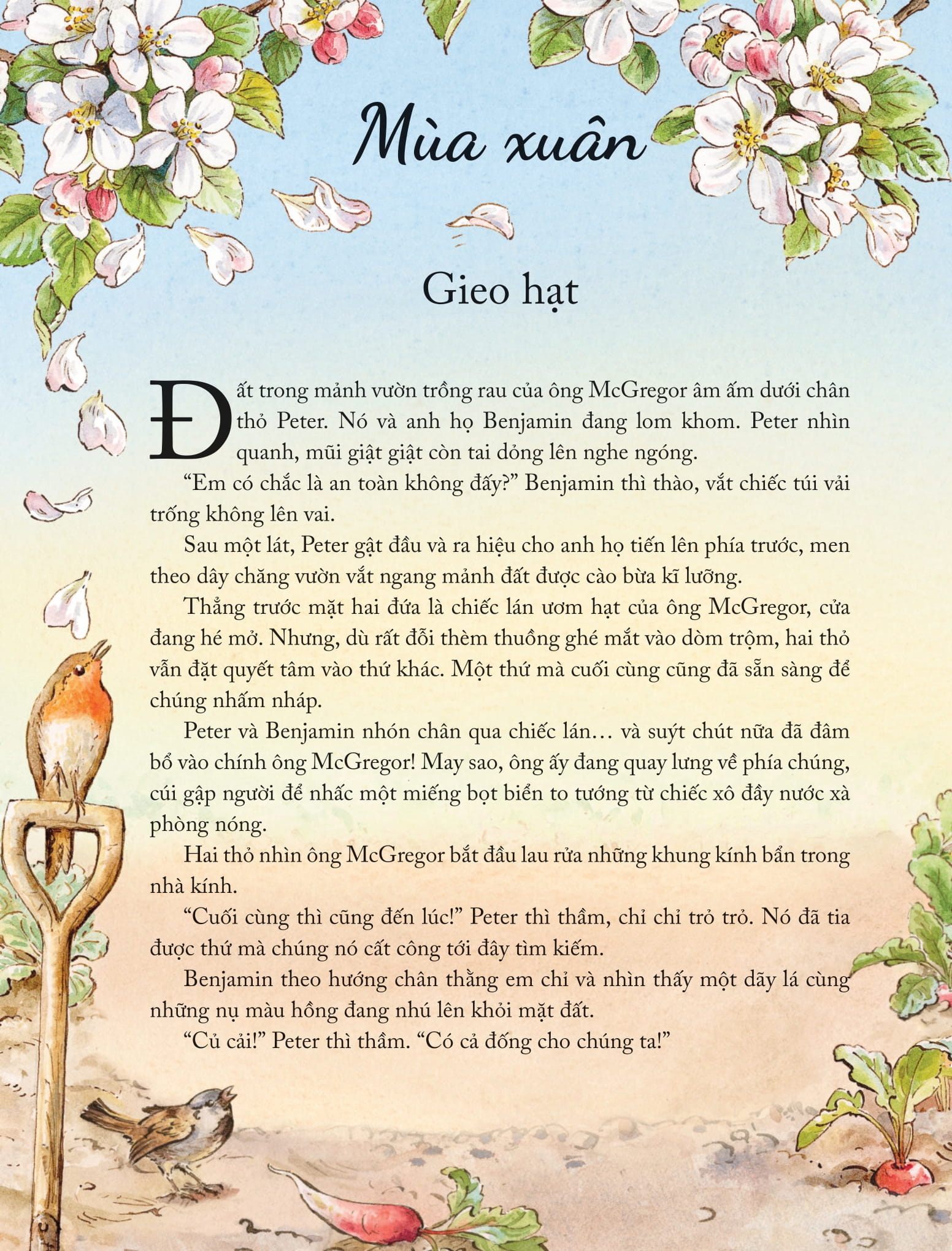 thế giới của thỏ peter - những câu chuyện chốn đồng quê - Ảnh 5