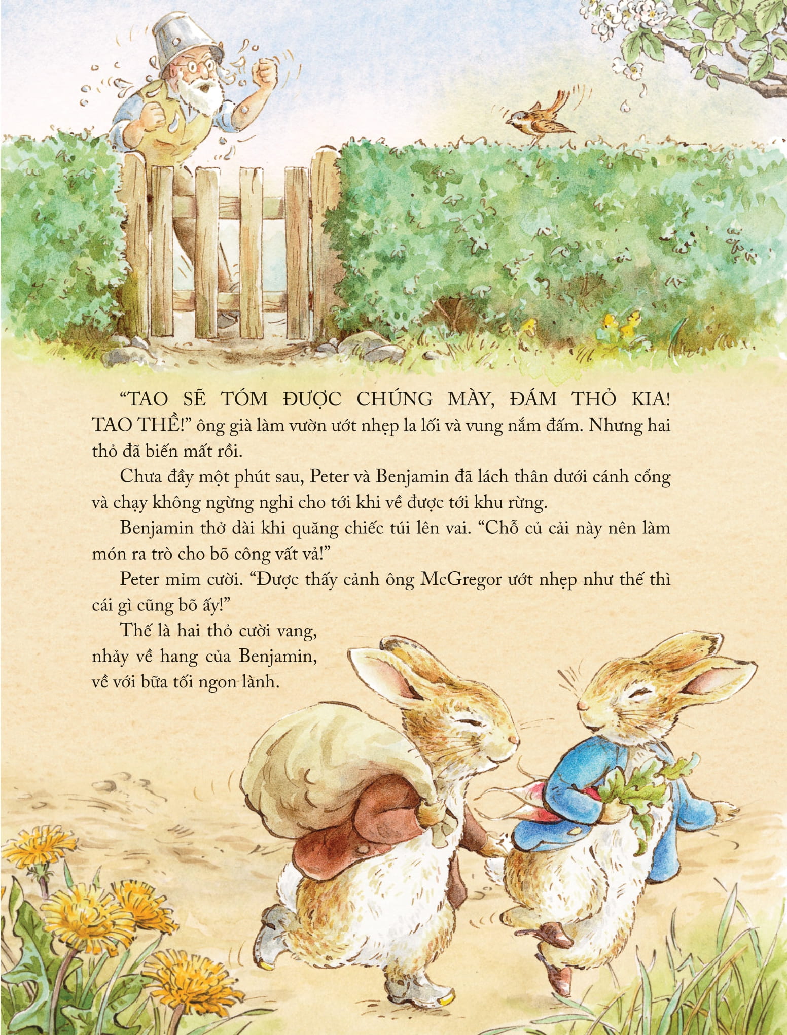 thế giới của thỏ peter - những câu chuyện chốn đồng quê - Ảnh 8
